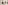 Tri-color dog (white, black, brown) close-up, with blurry urban background.