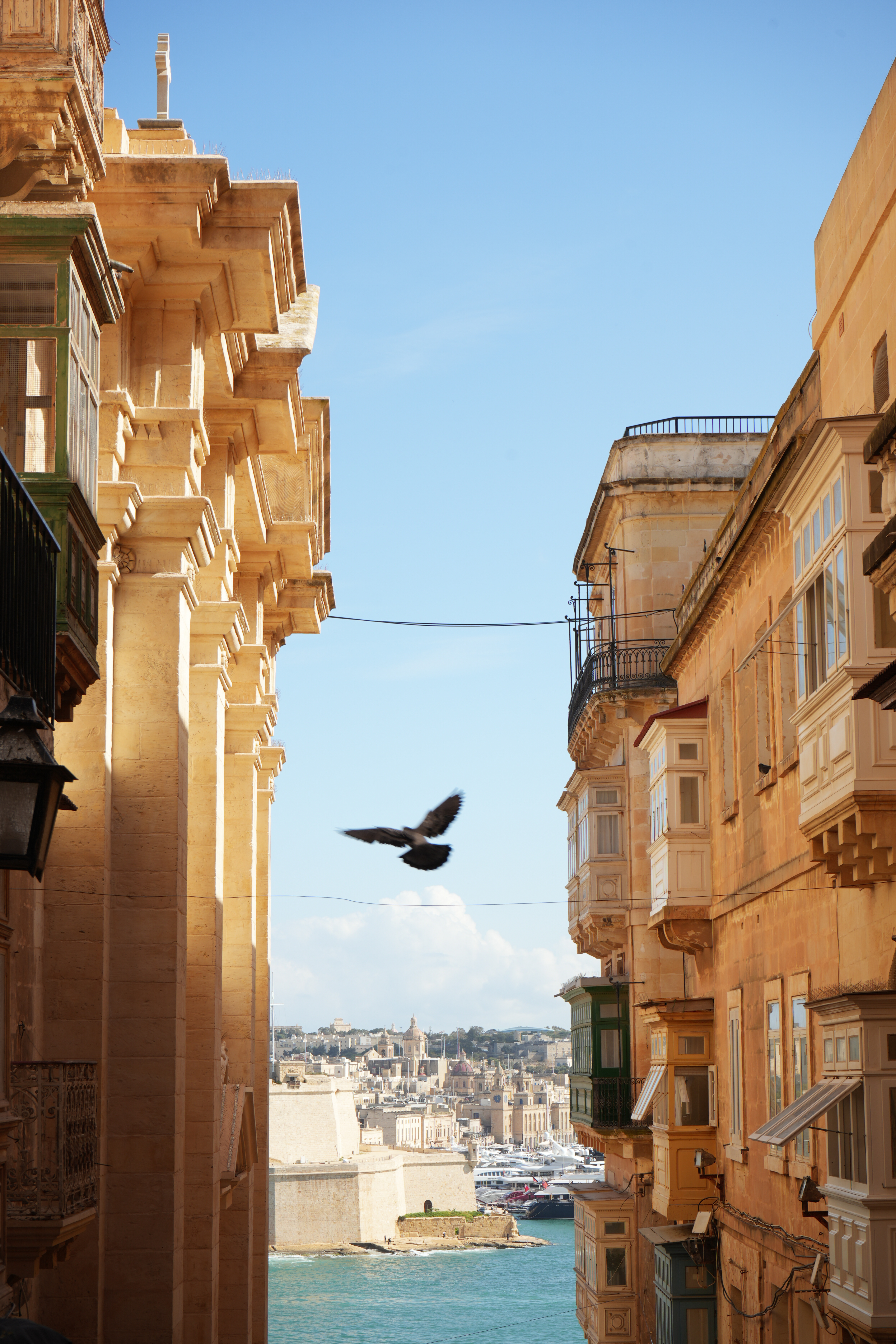 Valletta street with traditional balconies, flying pigeon, and harbor view.