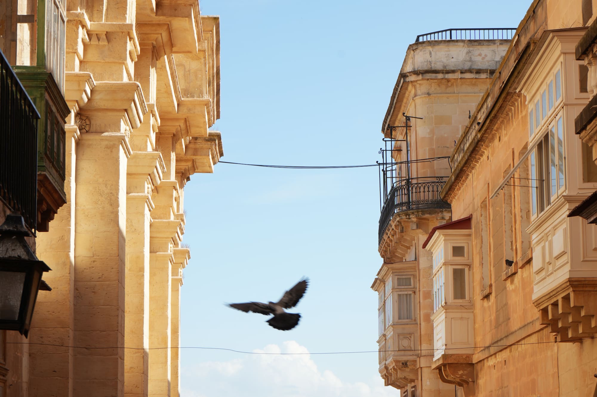 Valletta street with traditional balconies, flying pigeon, and harbor view.
