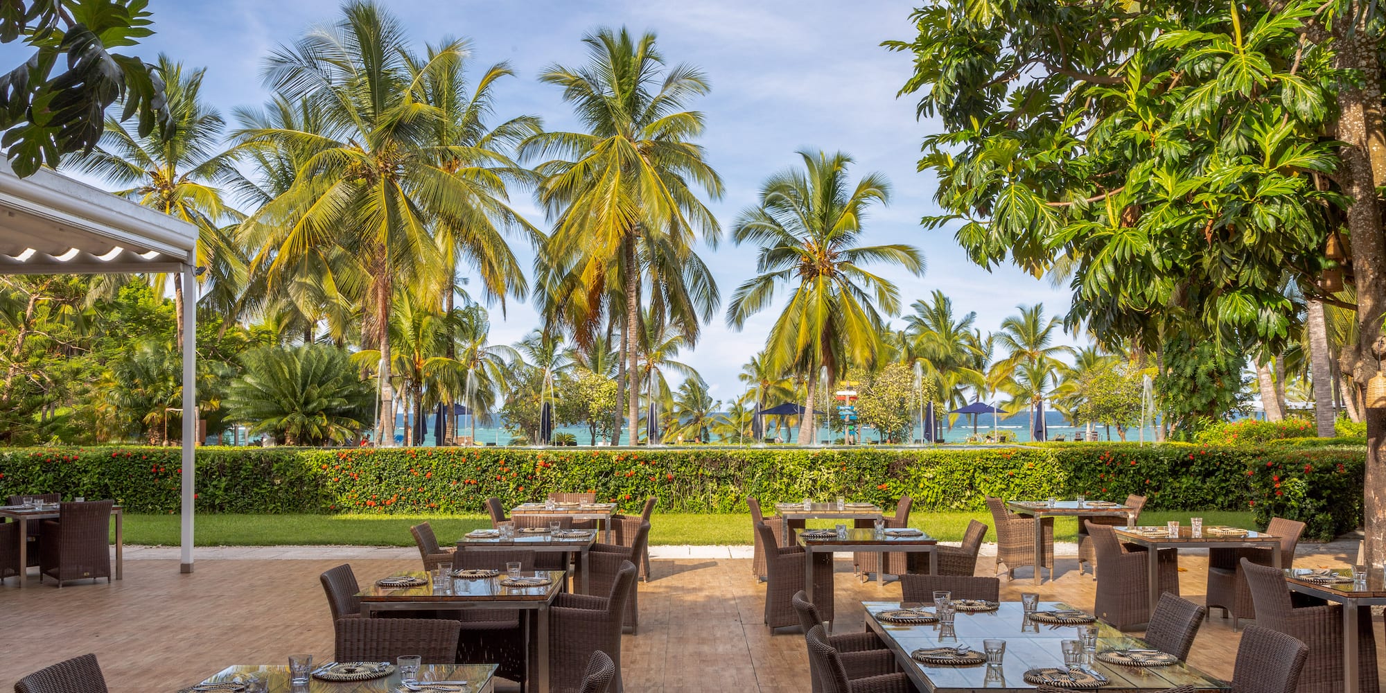 a tables and chairs outside with palm trees and water in the background