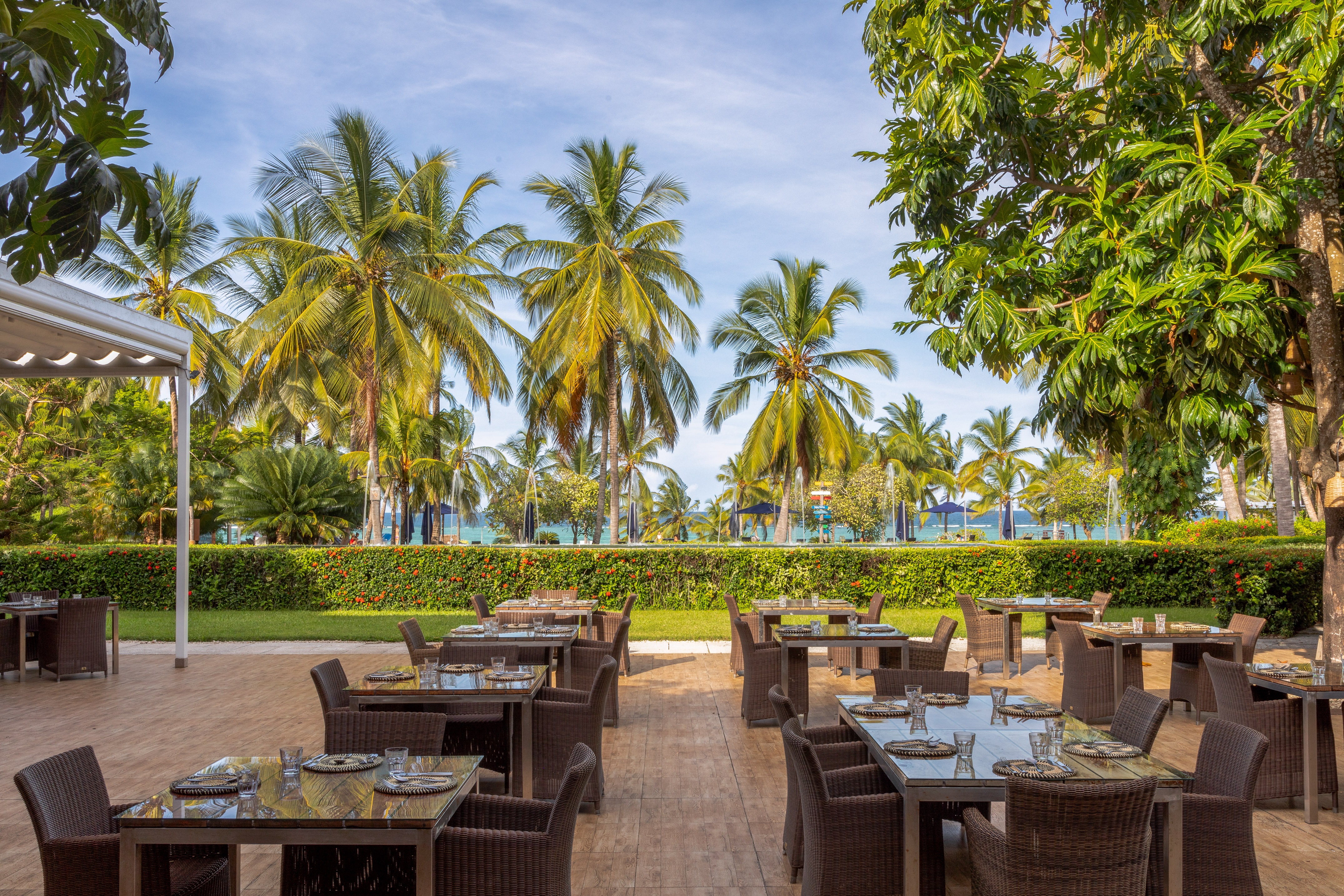 a tables and chairs outside with palm trees and water in the background