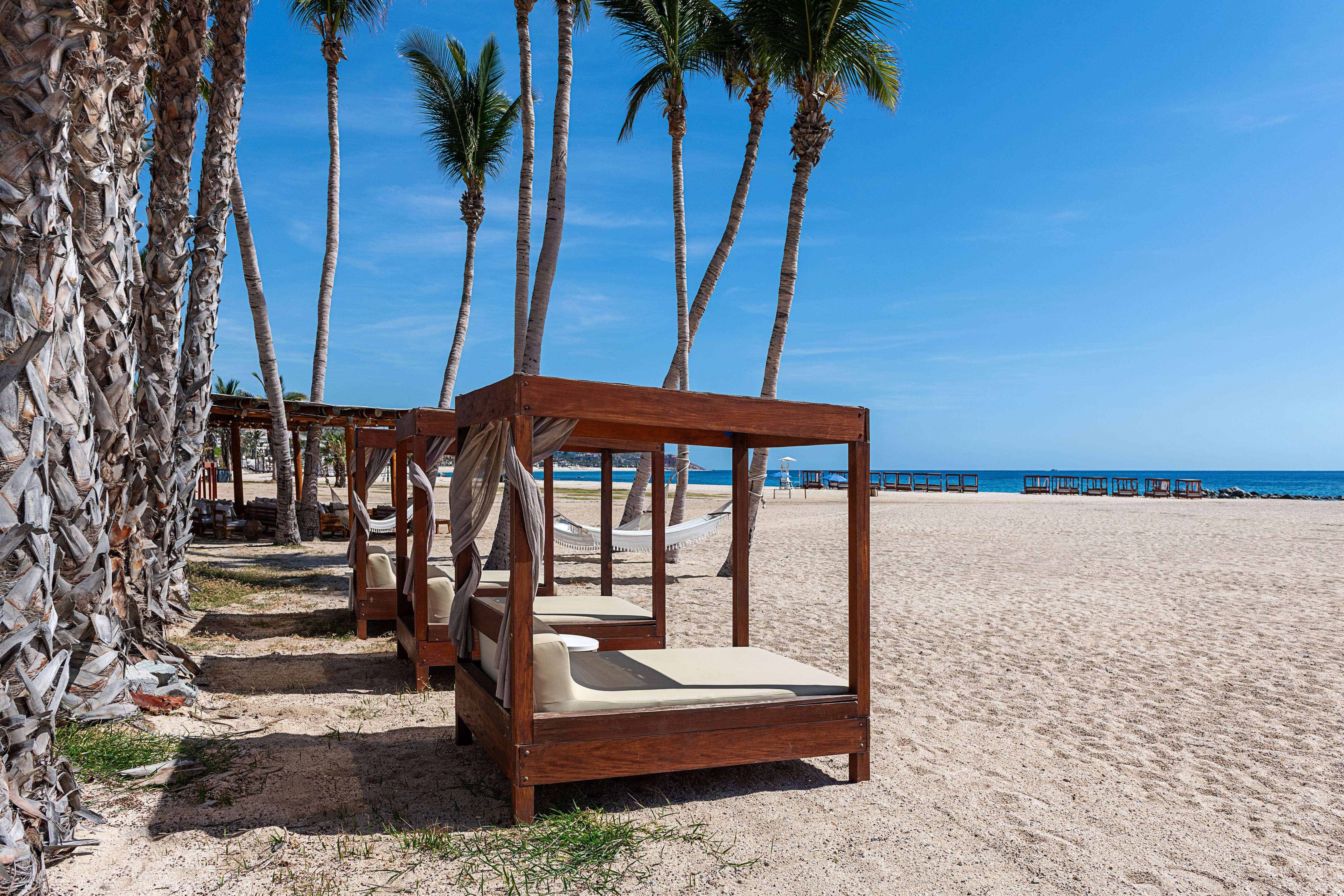 Tropical beach with tall palm trees, wooden cabanas, and ocean view.