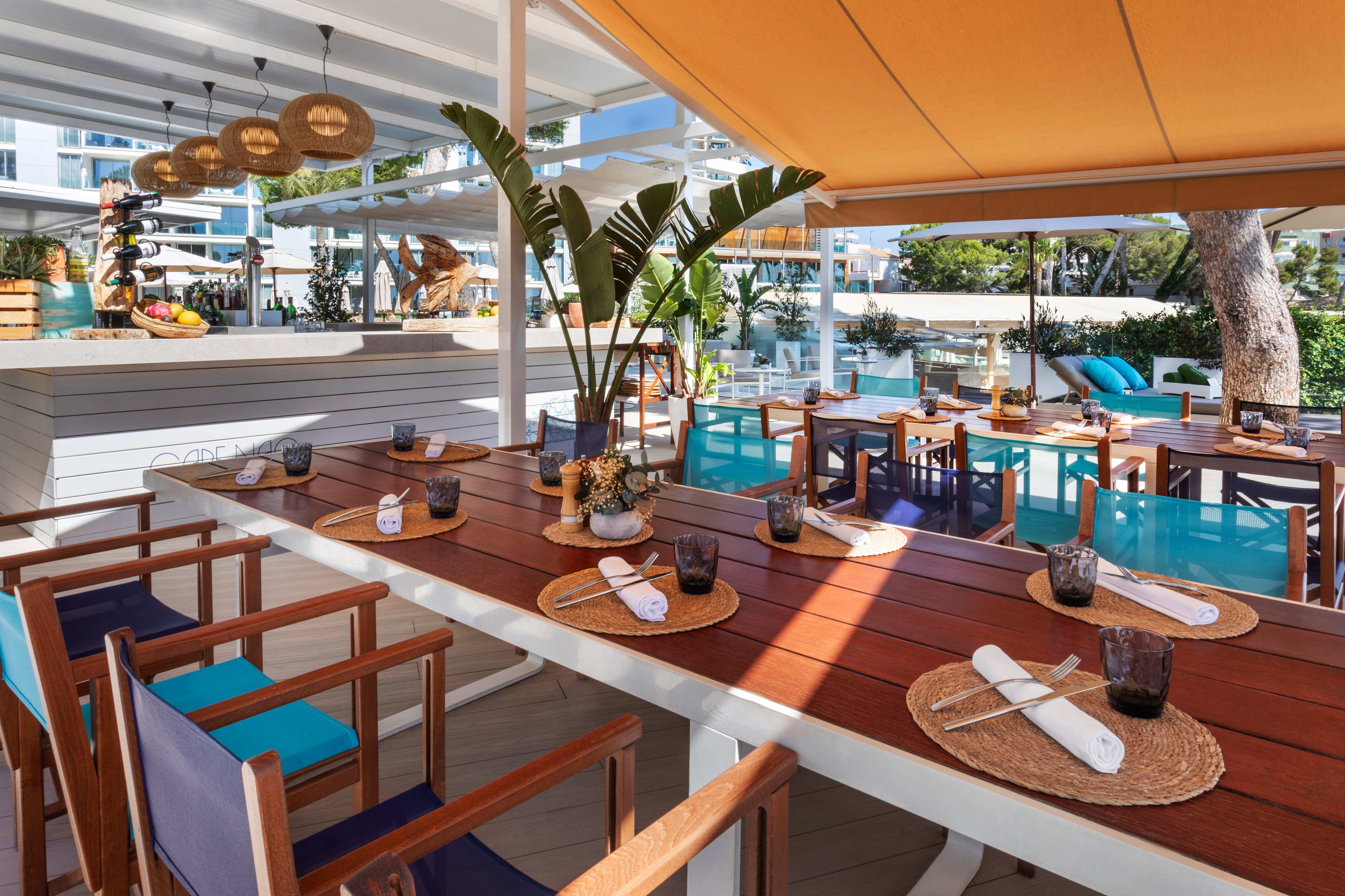 Outdoor restaurant patio with set table, blue chairs, bar, tropical plants.