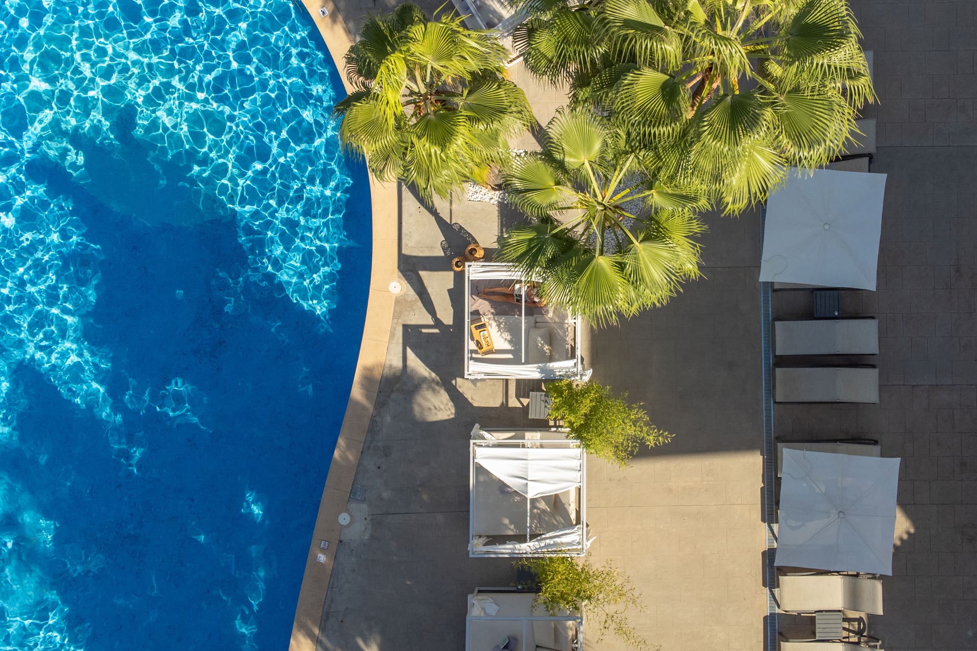 a pool with palm trees and chairs