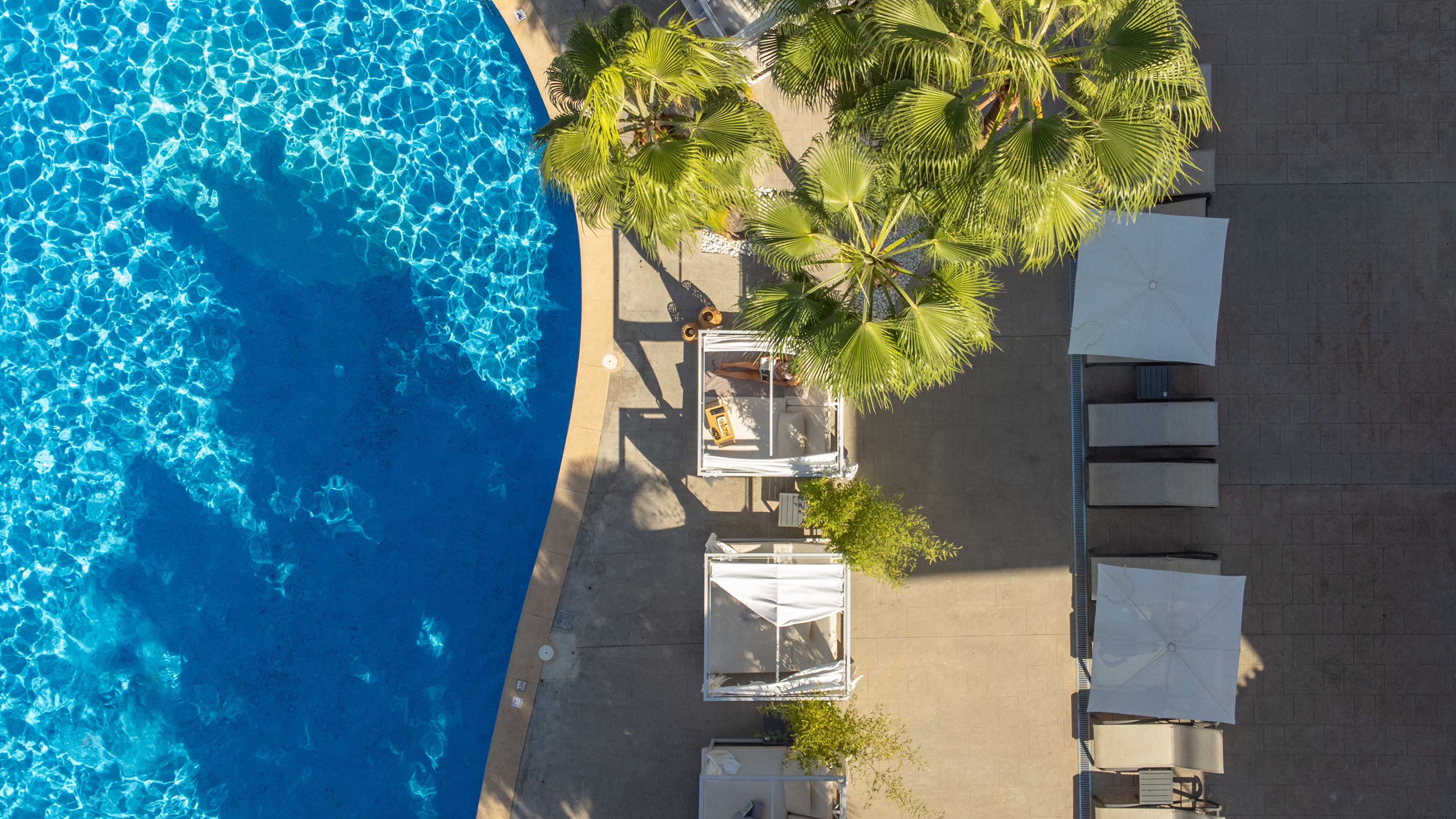 Aerial view: resort swimming pool, palm trees, cabanas, and sun loungers.