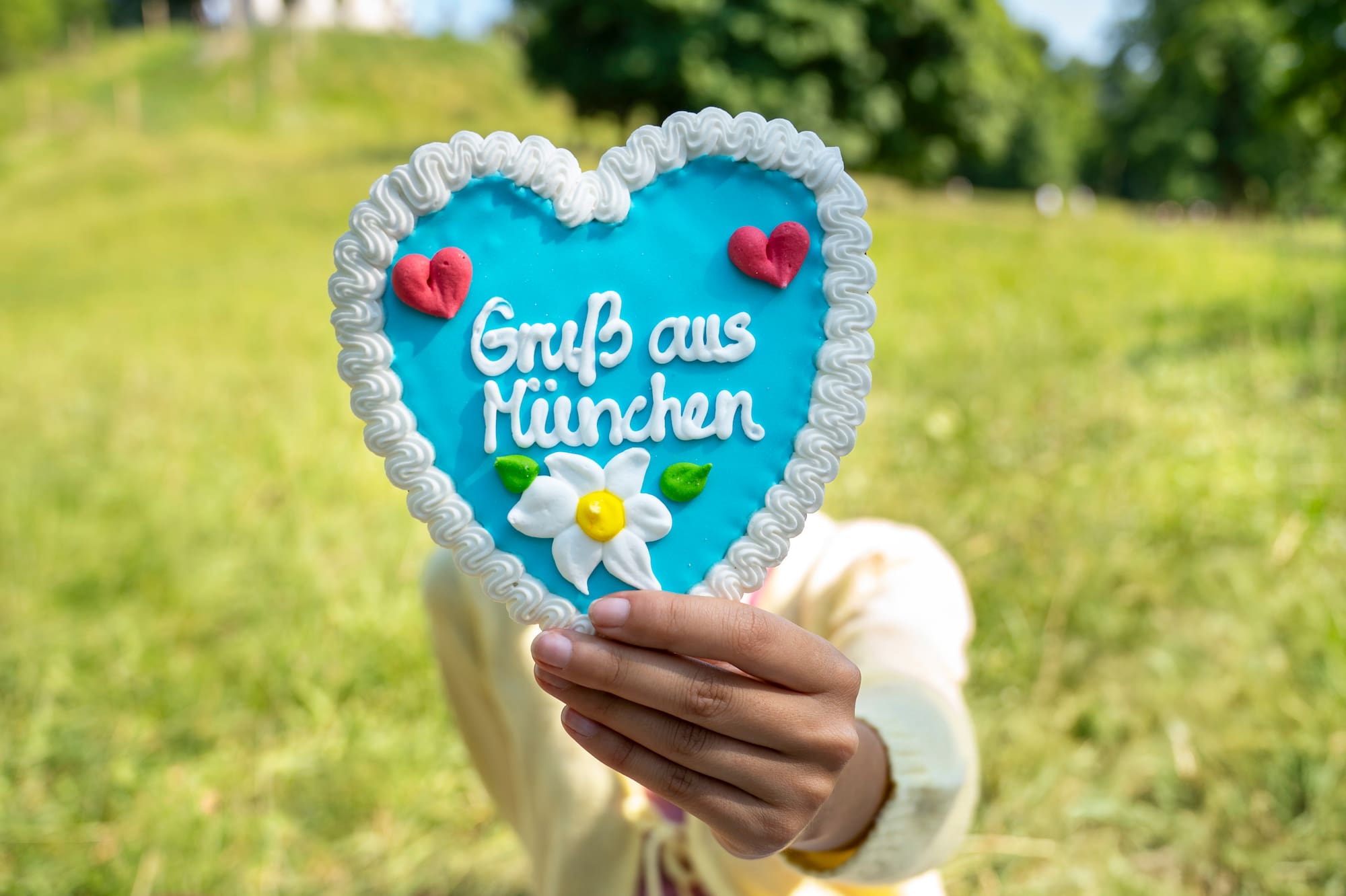 a person holding a heart shaped cookie