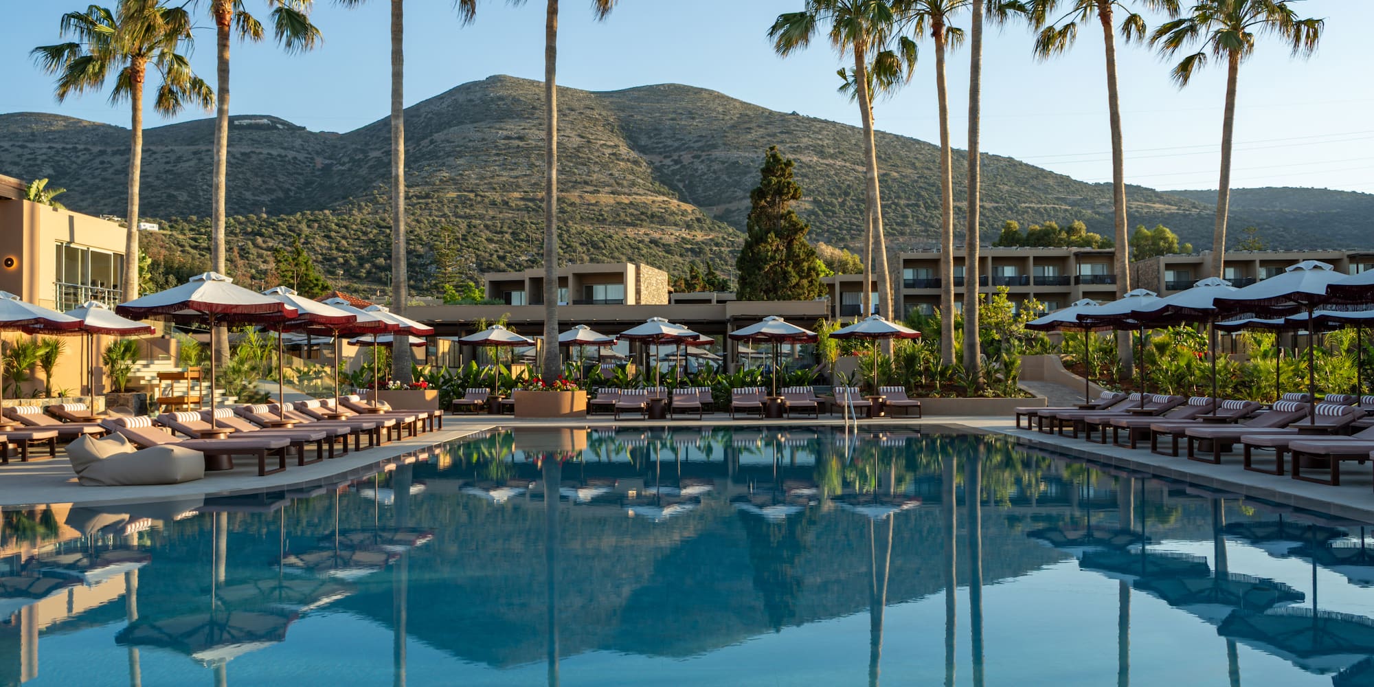 Palm-lined resort pool with lounge chairs, hotel buildings, and mountains.
