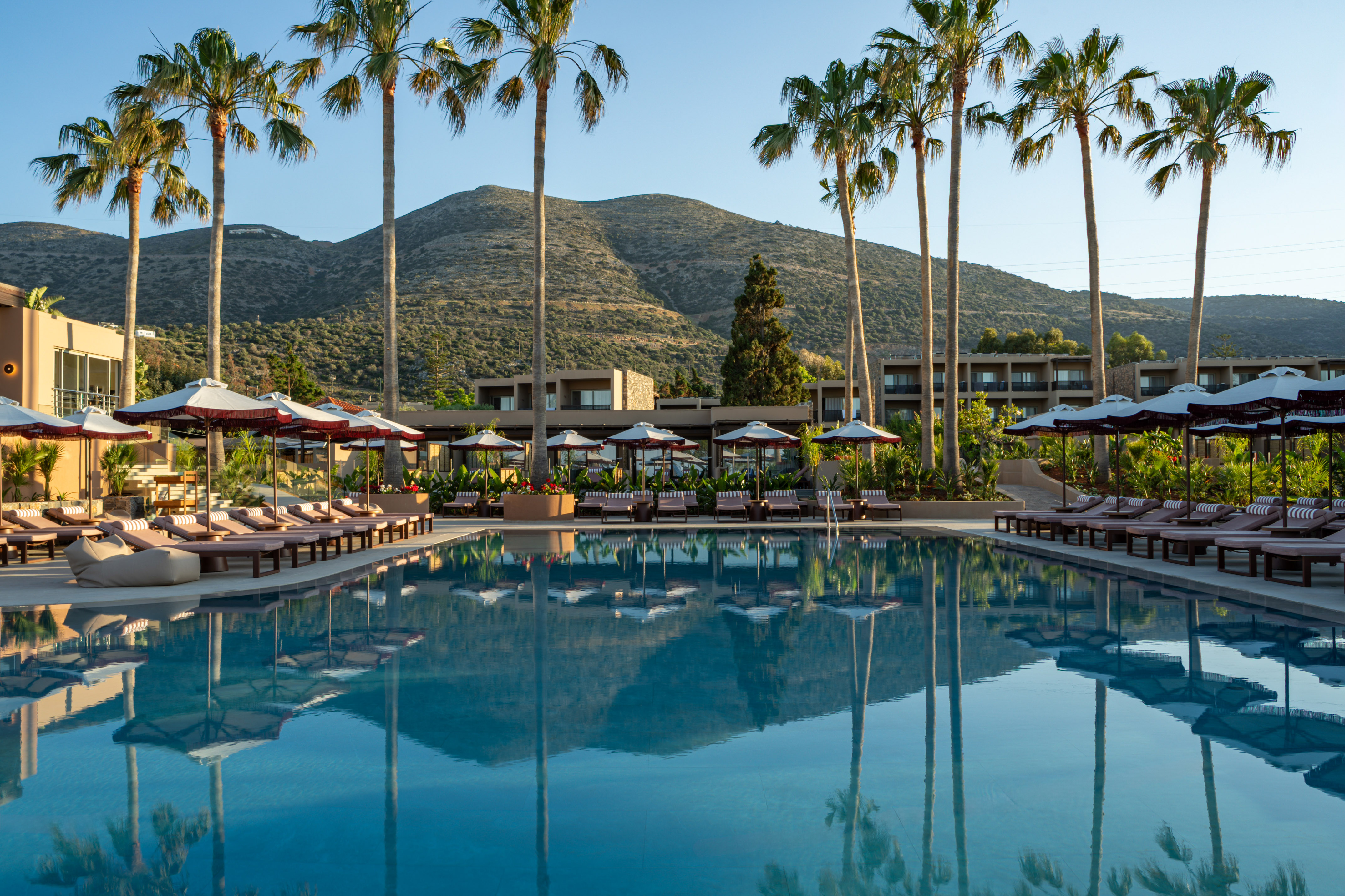 Palm-lined resort pool with lounge chairs, hotel buildings, and mountains.