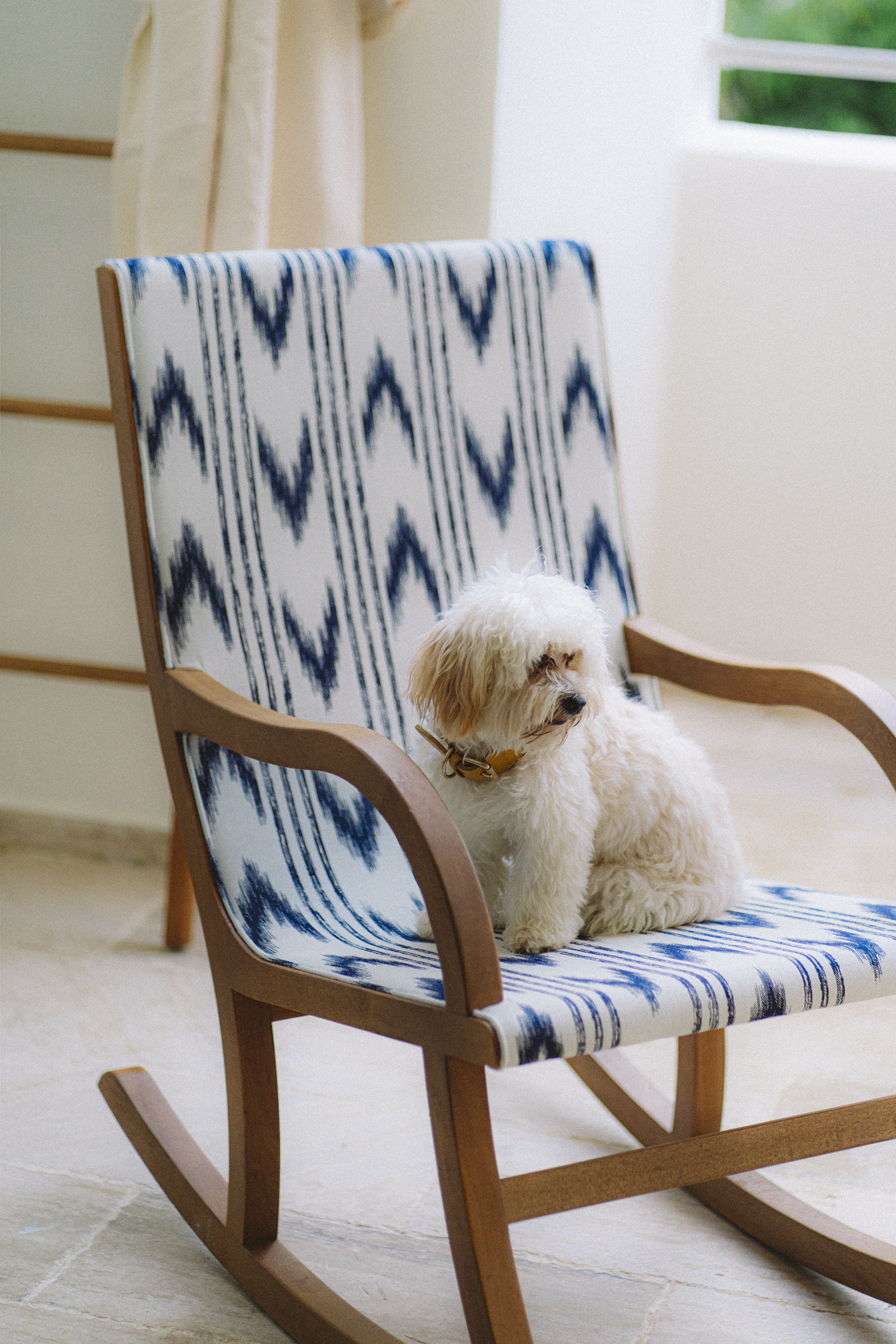 White fluffy dog on a wooden rocking chair with blue ikat pattern.