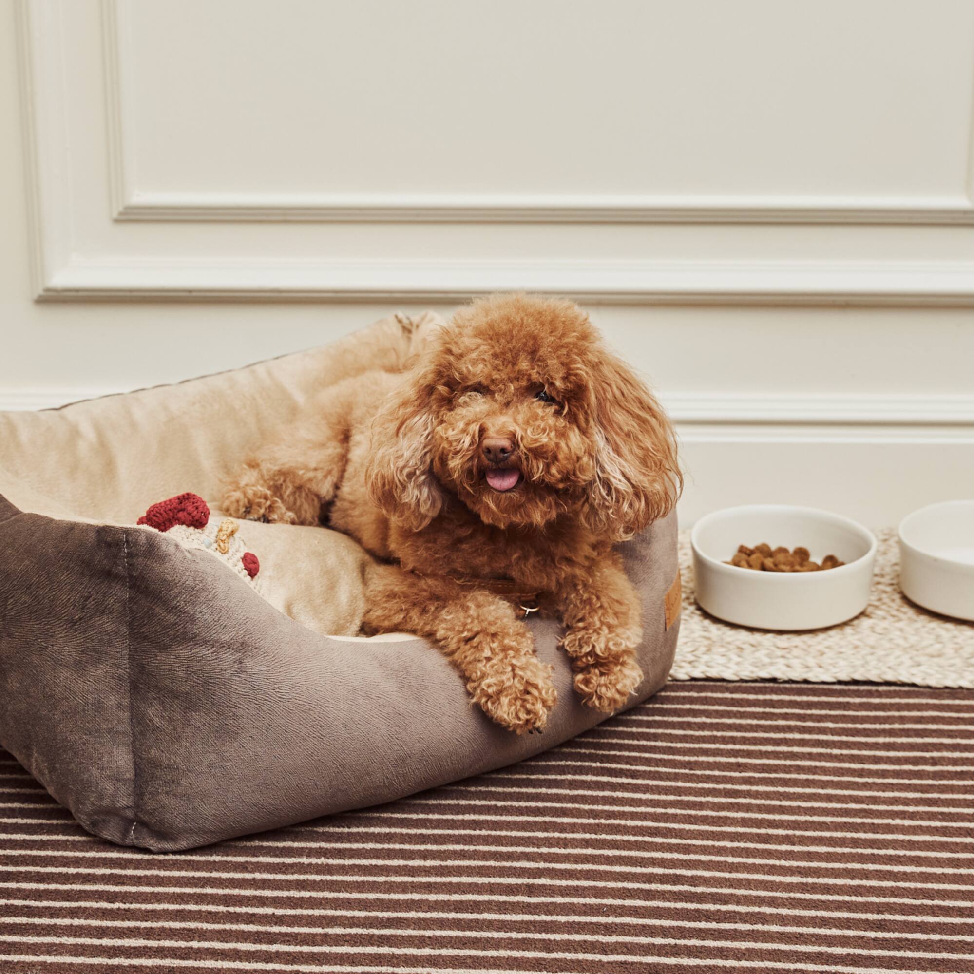 a dog lying in a dog bed
