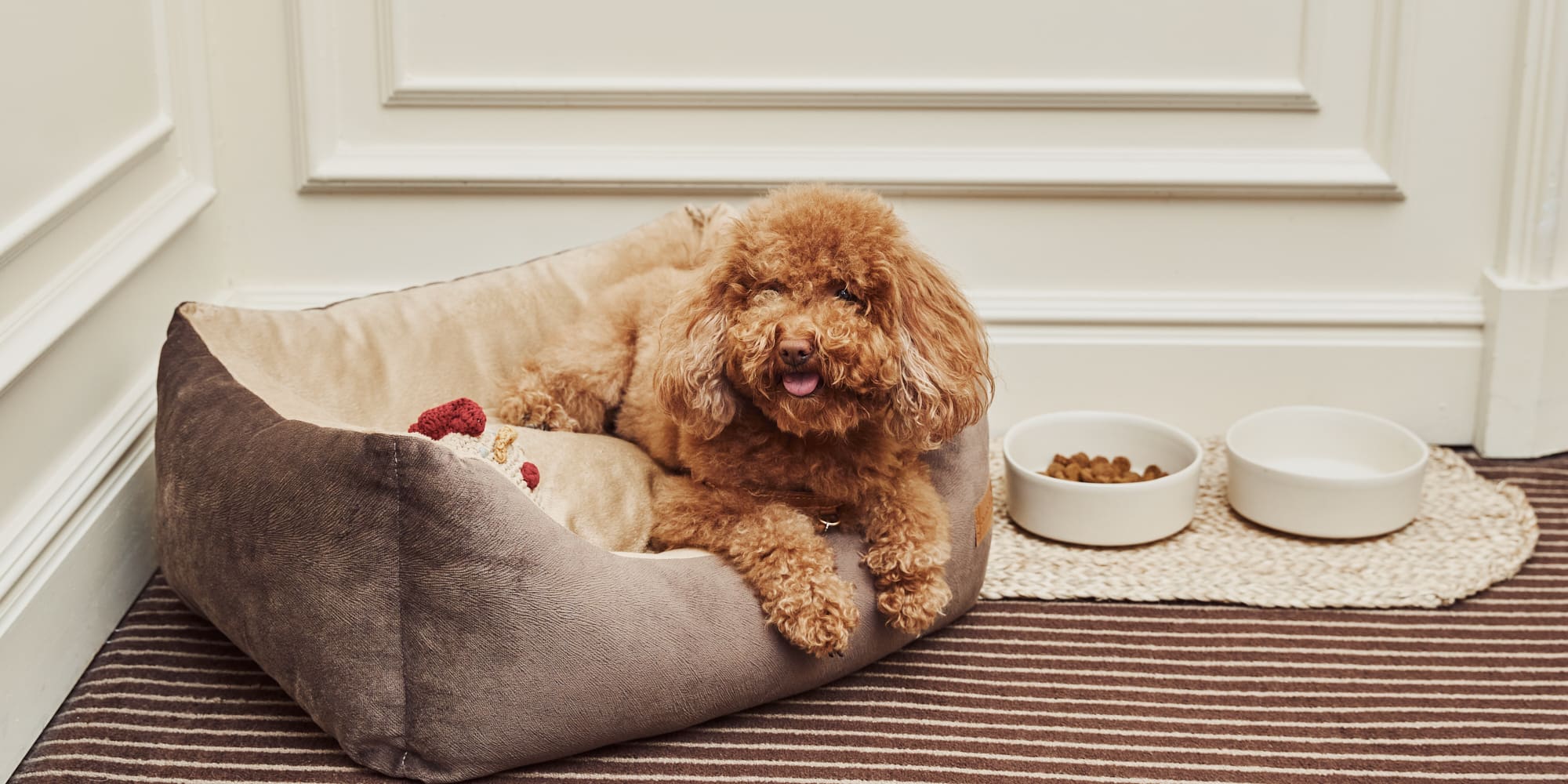 a dog lying in a dog bed