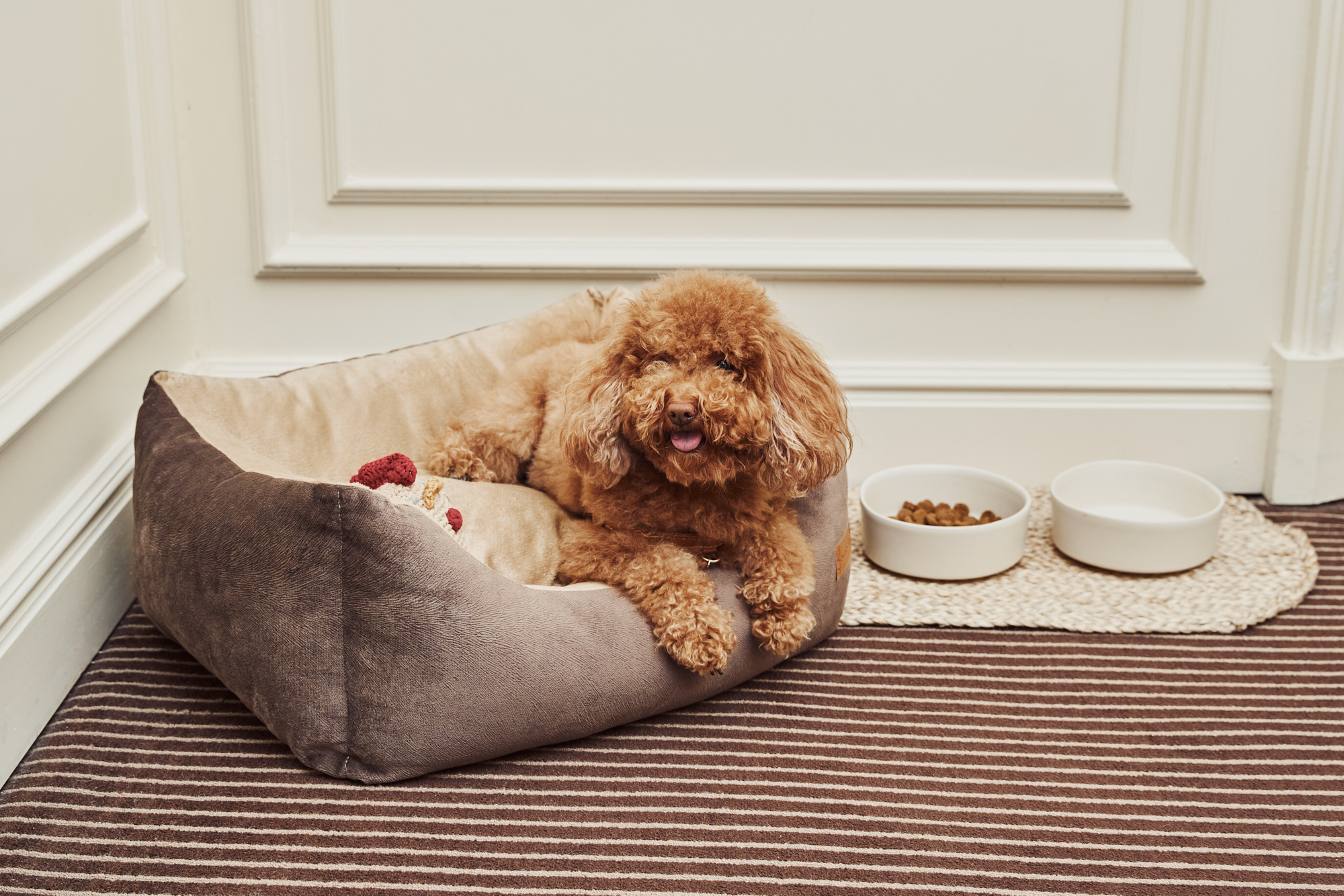 Brown poodle relaxing in a soft dog bed next to food and water bowls.
