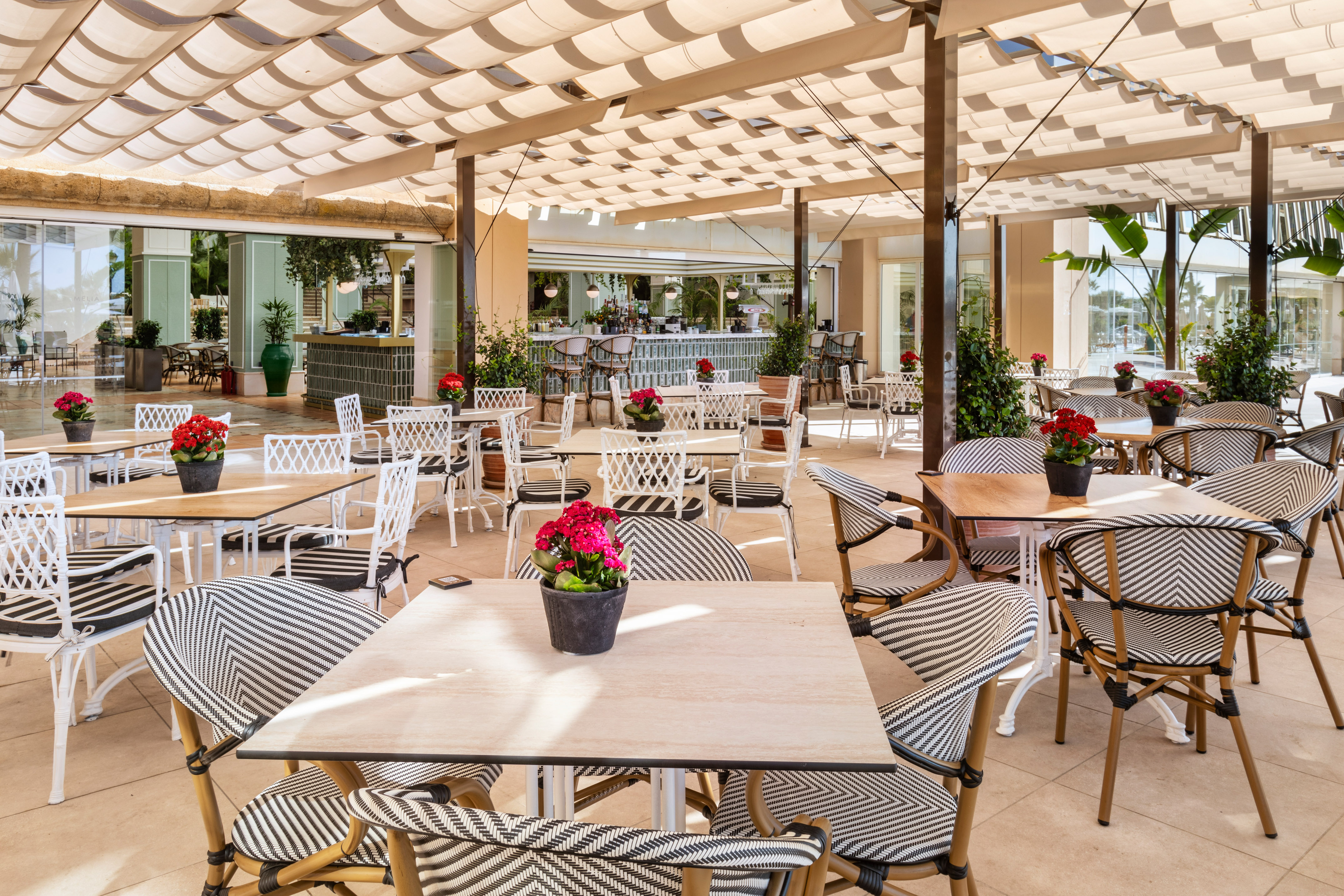 Resort outdoor restaurant patio with shaded seating, striped chairs, and red flowers.
