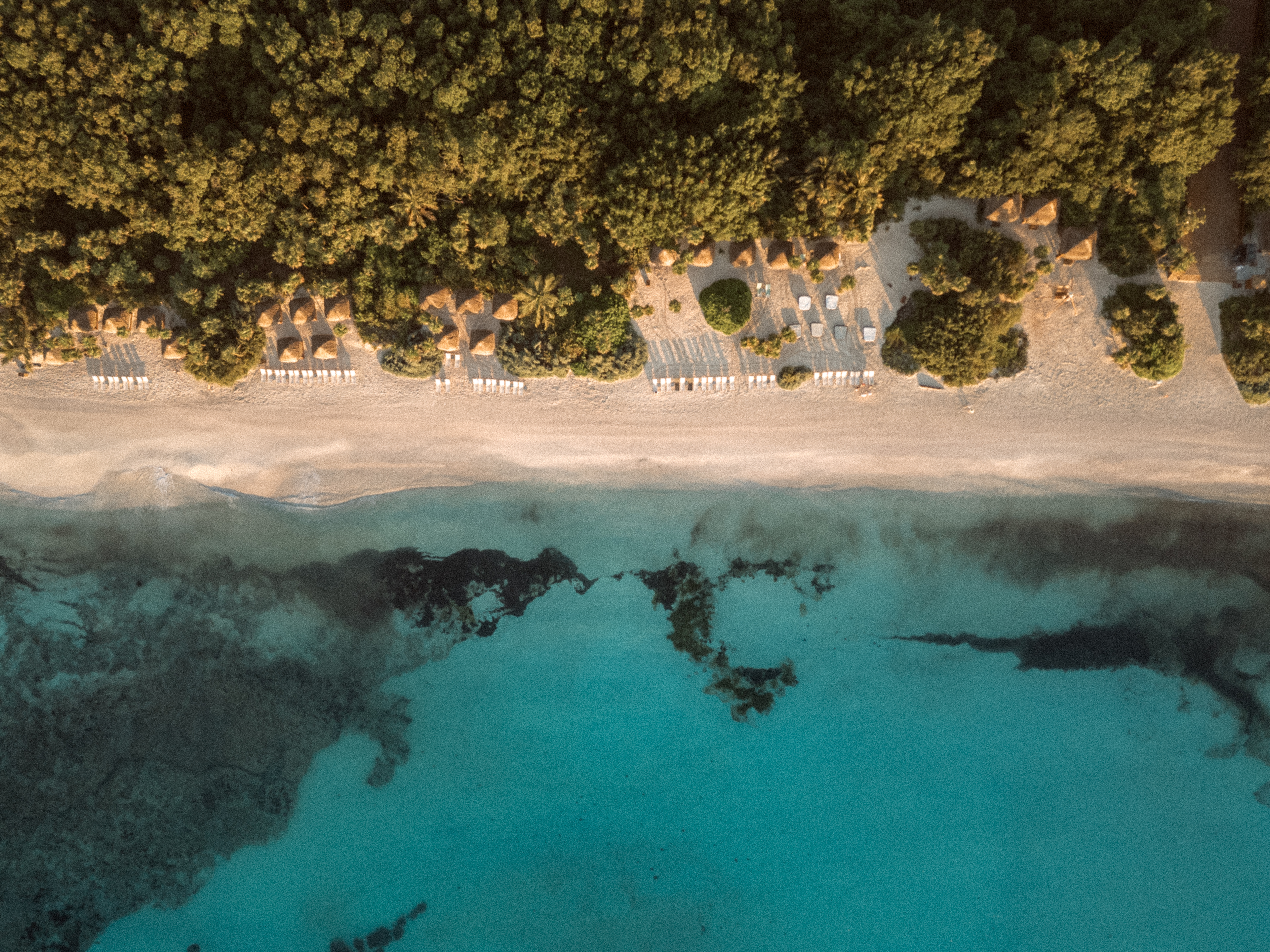 Playa tropical vista aérea: arena, palapas y mar turquesa.