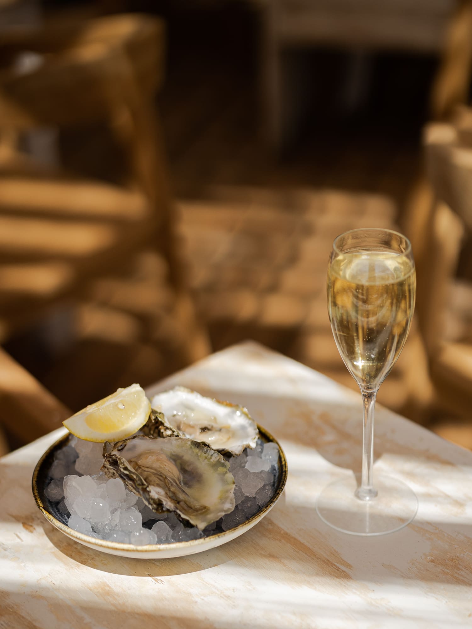 a plate of oysters and a glass of wine