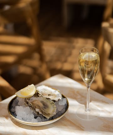 a plate of oysters and a glass of wine
