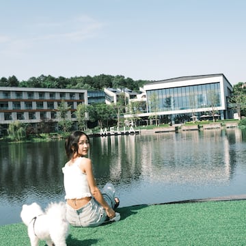 a woman sitting on grass next to a body of water