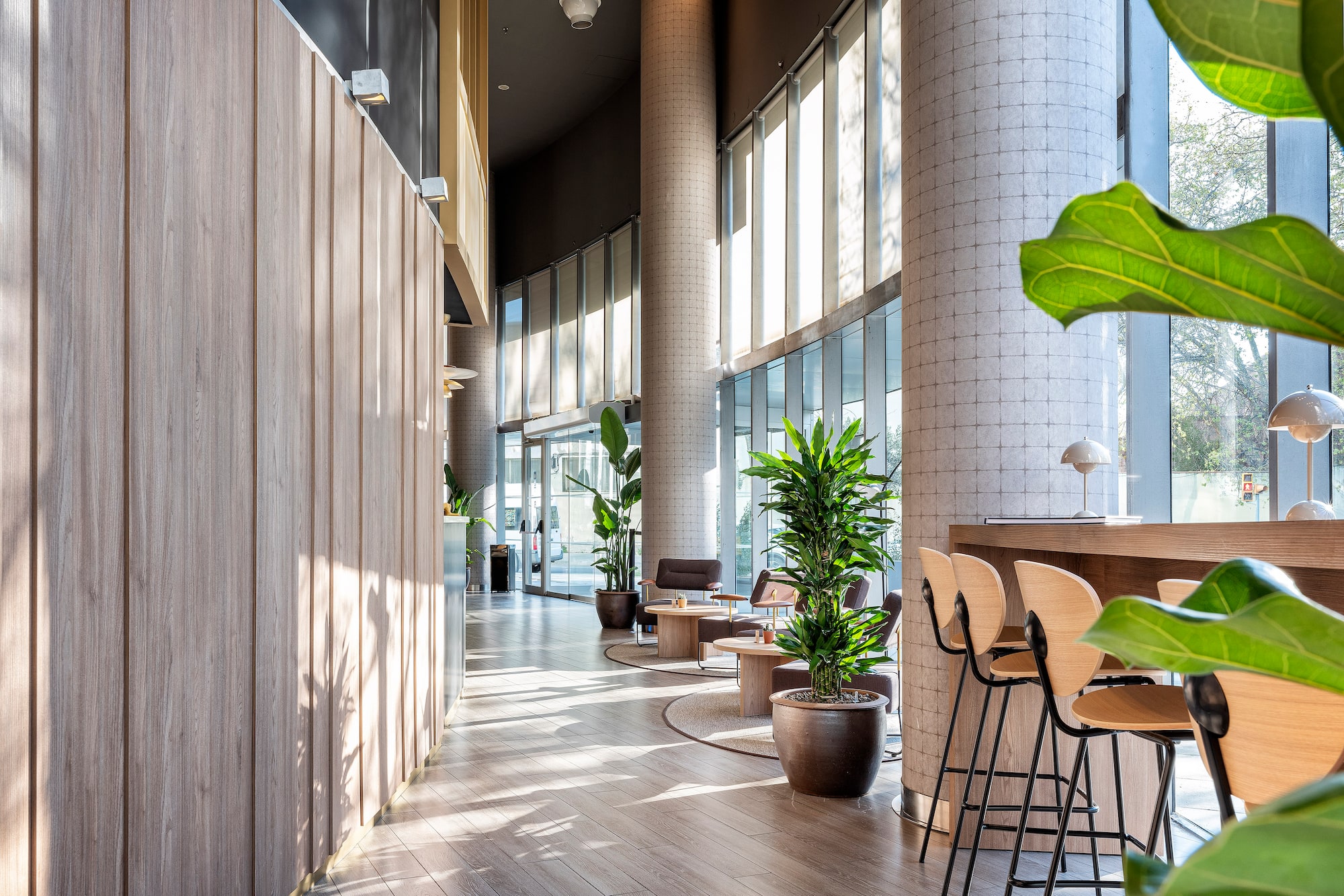 Bright modern lobby with wood paneling, natural light, bar area, and plants.