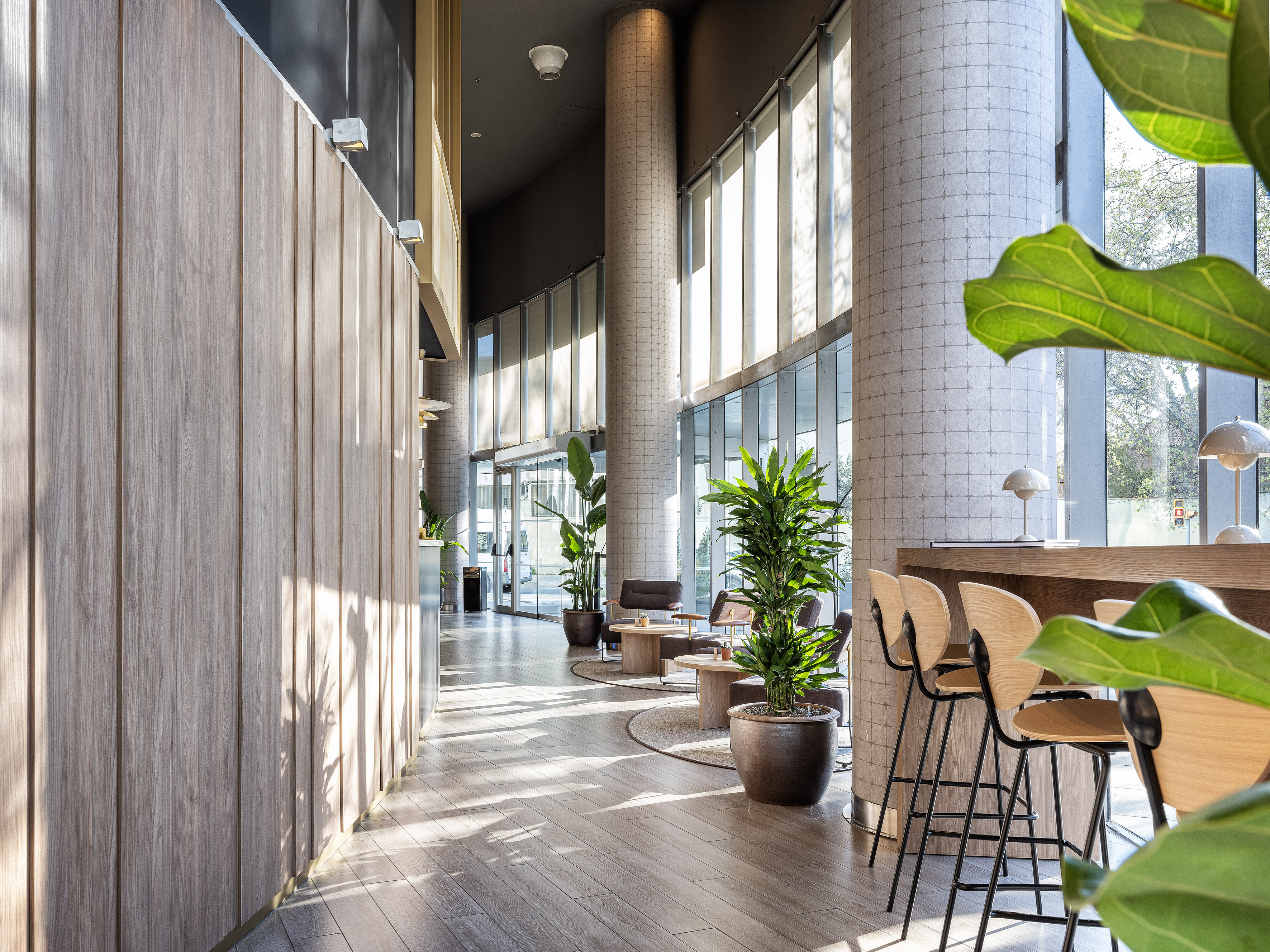 Bright modern lobby with wood paneling, natural light, bar area, and plants.