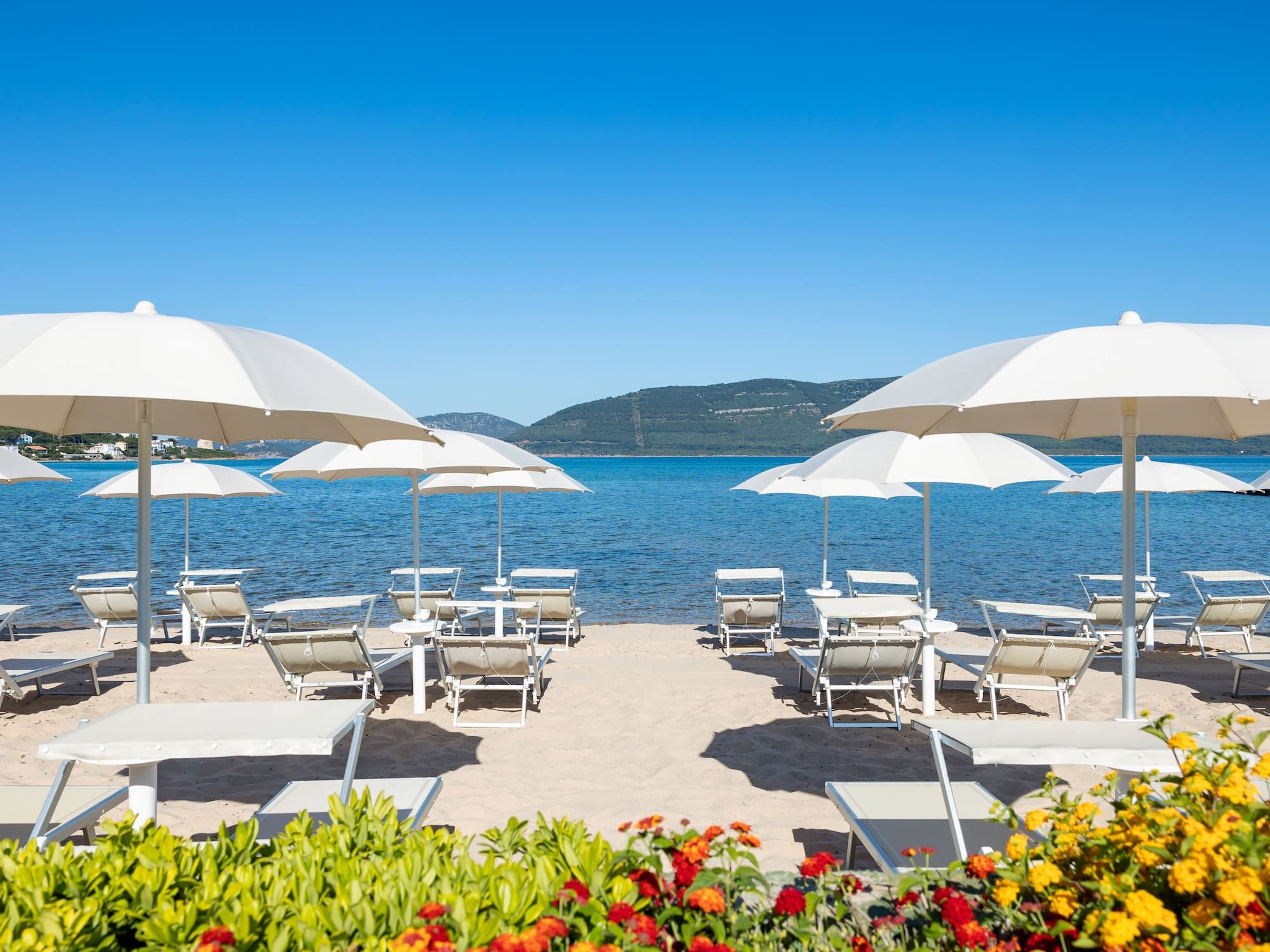 a beach with chairs and umbrellas