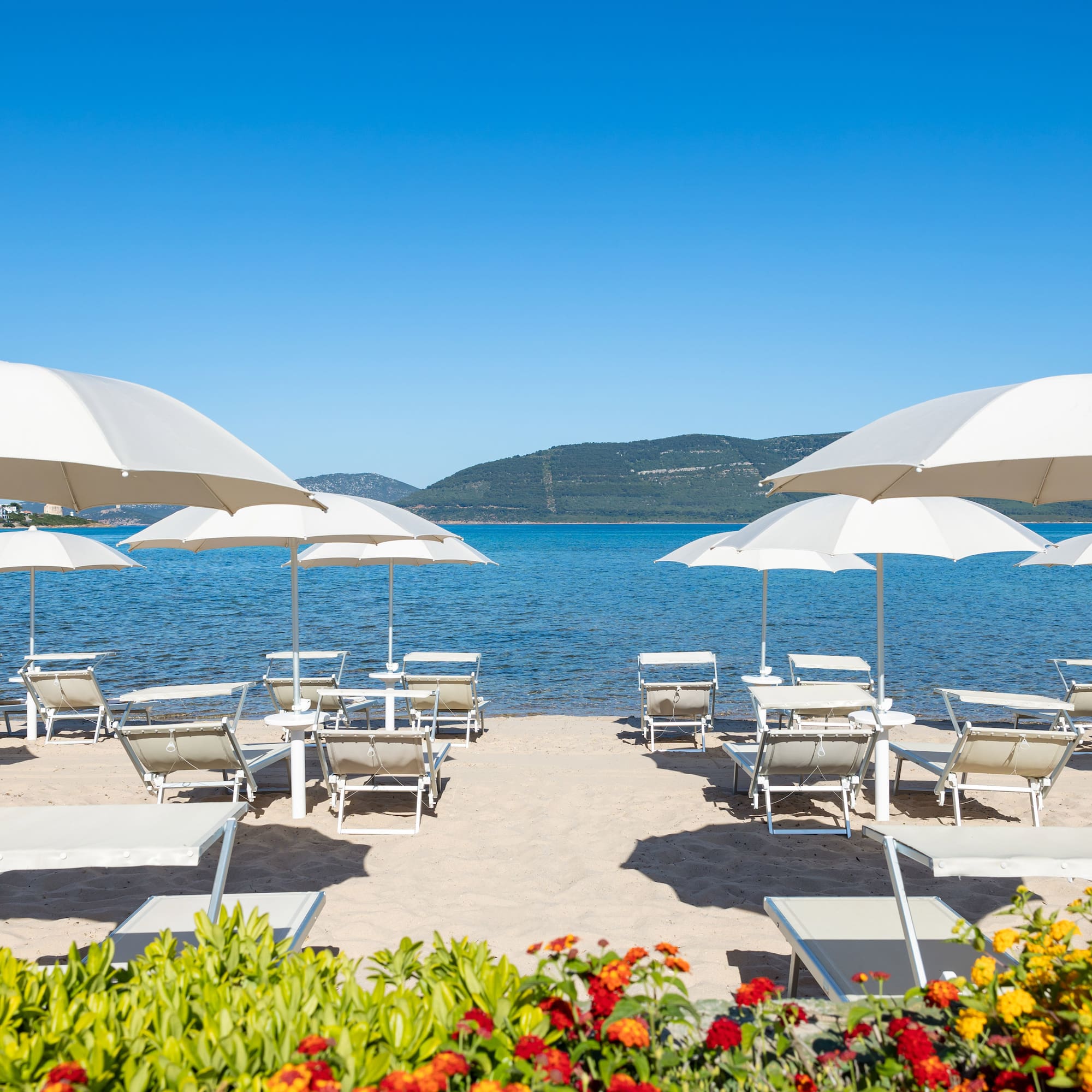 a beach with chairs and umbrellas