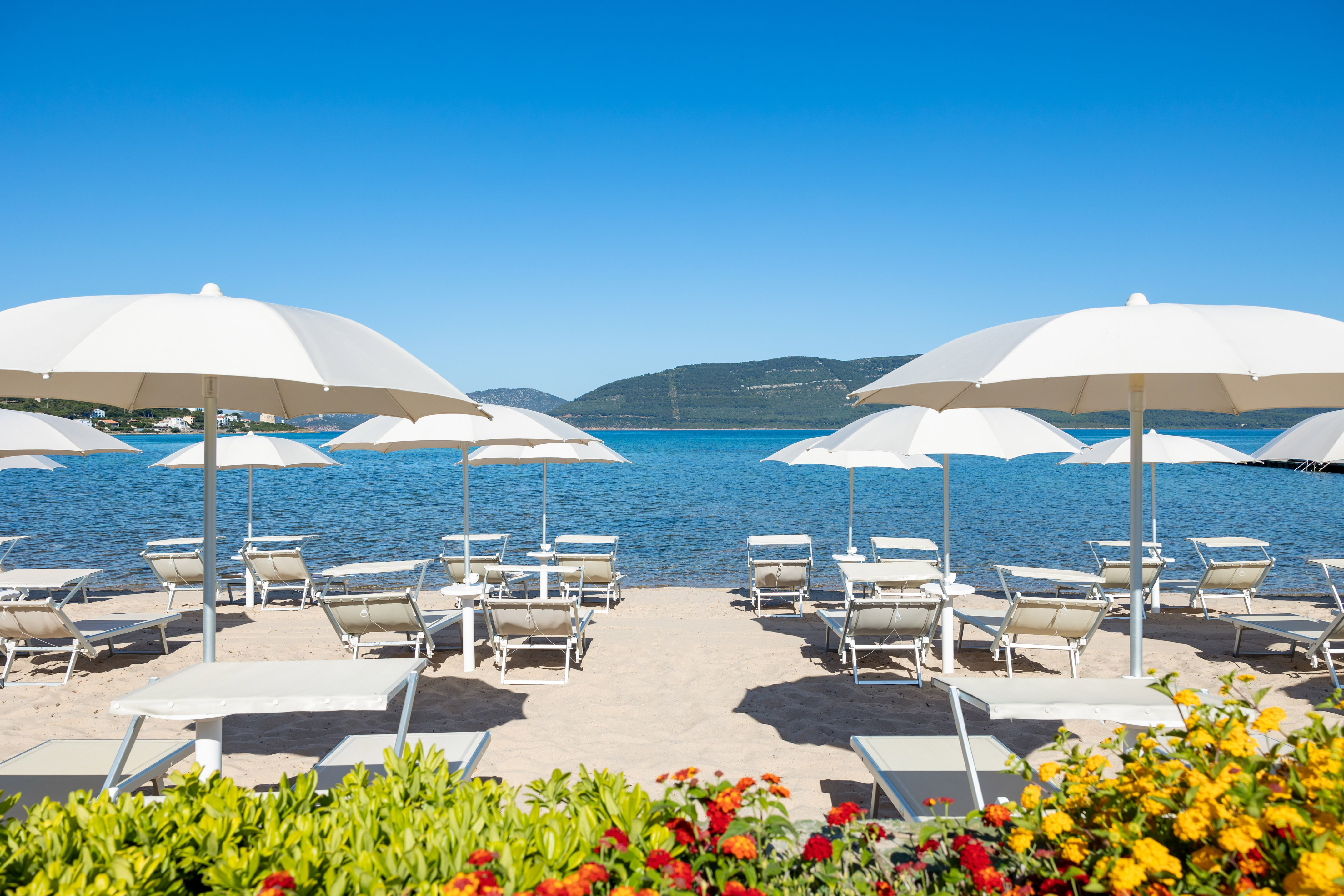 Sunny beach with white umbrellas, lounge chairs, blue sea, and colorful flowers.