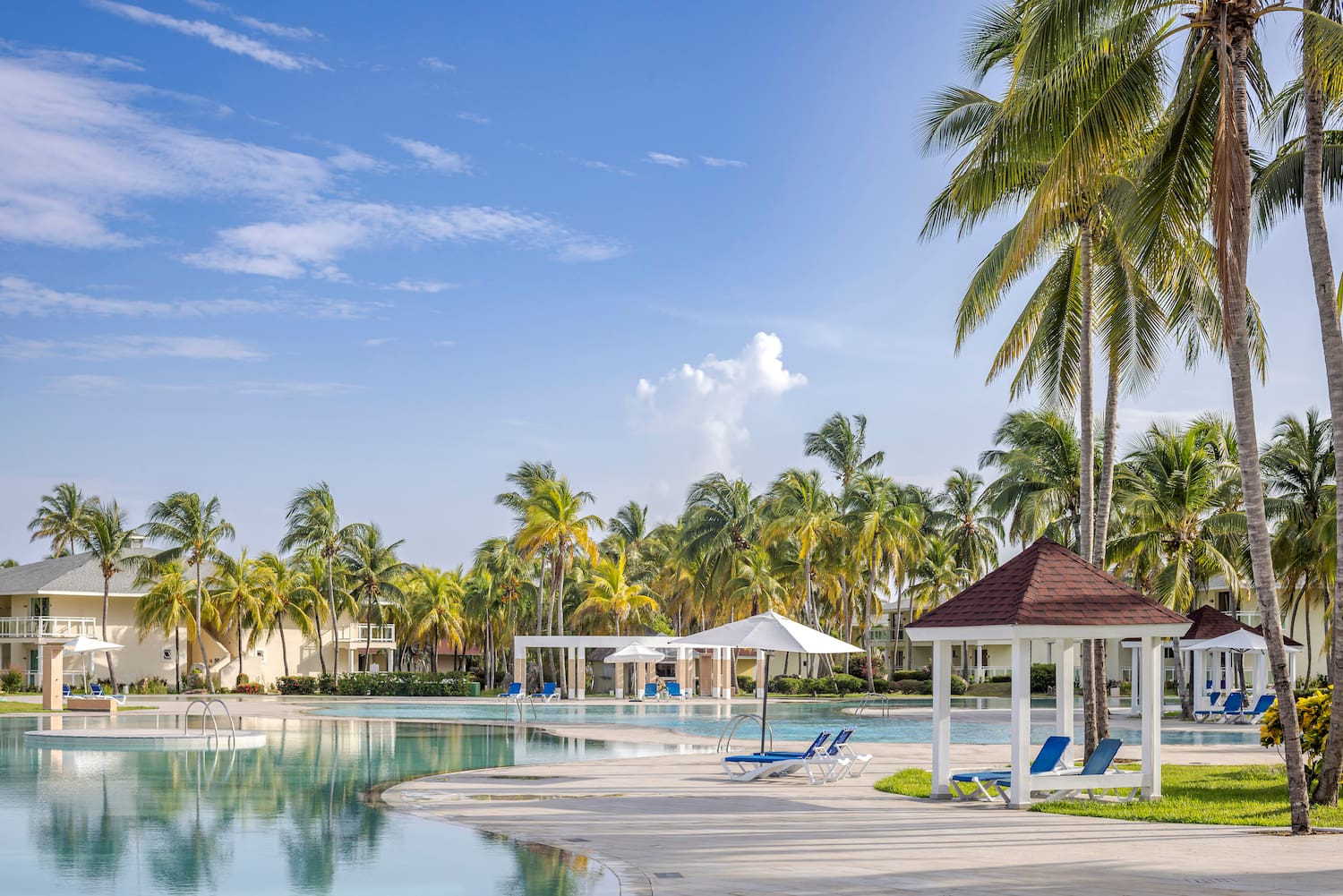 a pool with lounge chairs and umbrellas