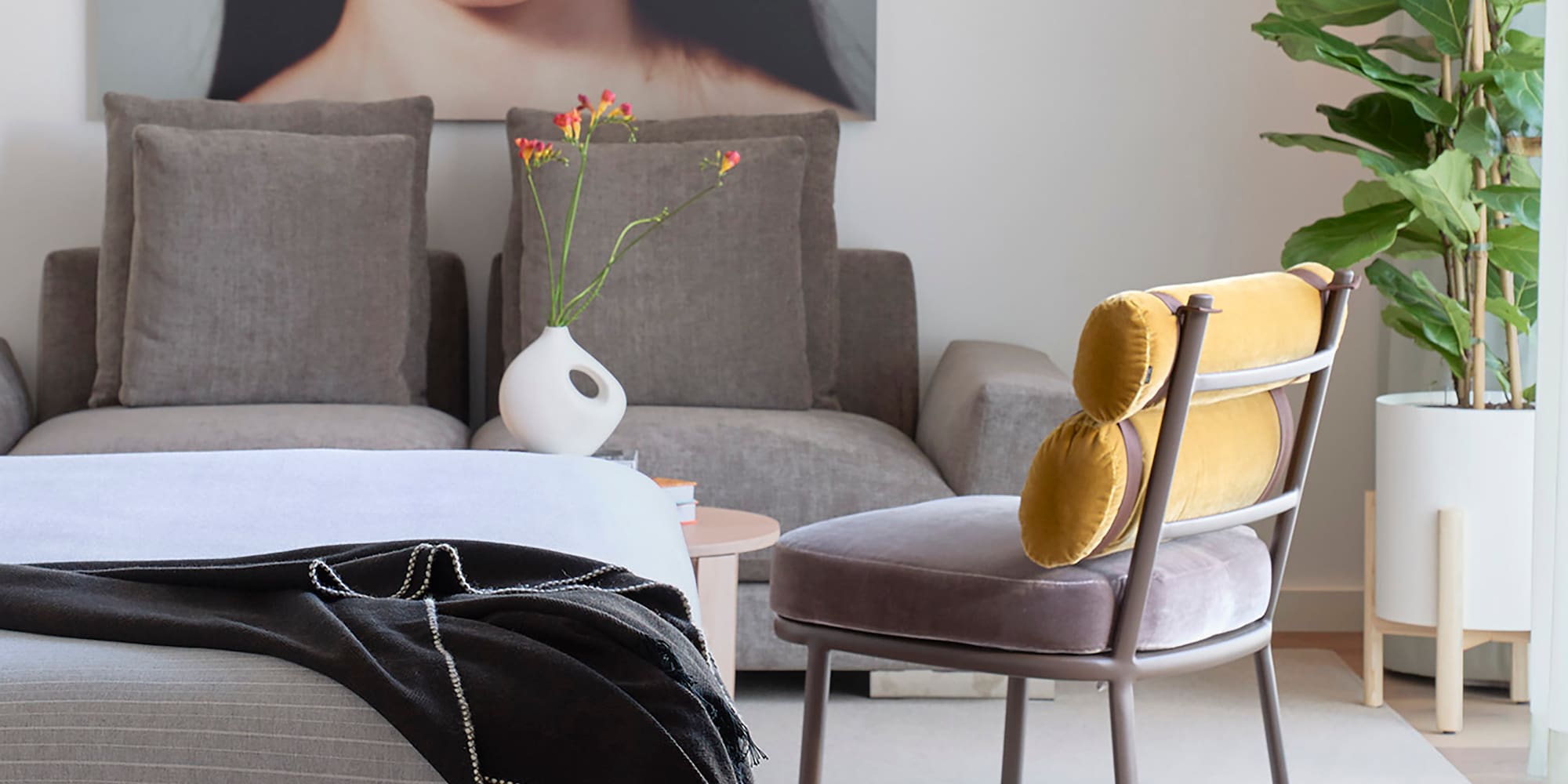 a room with a couch and a plant