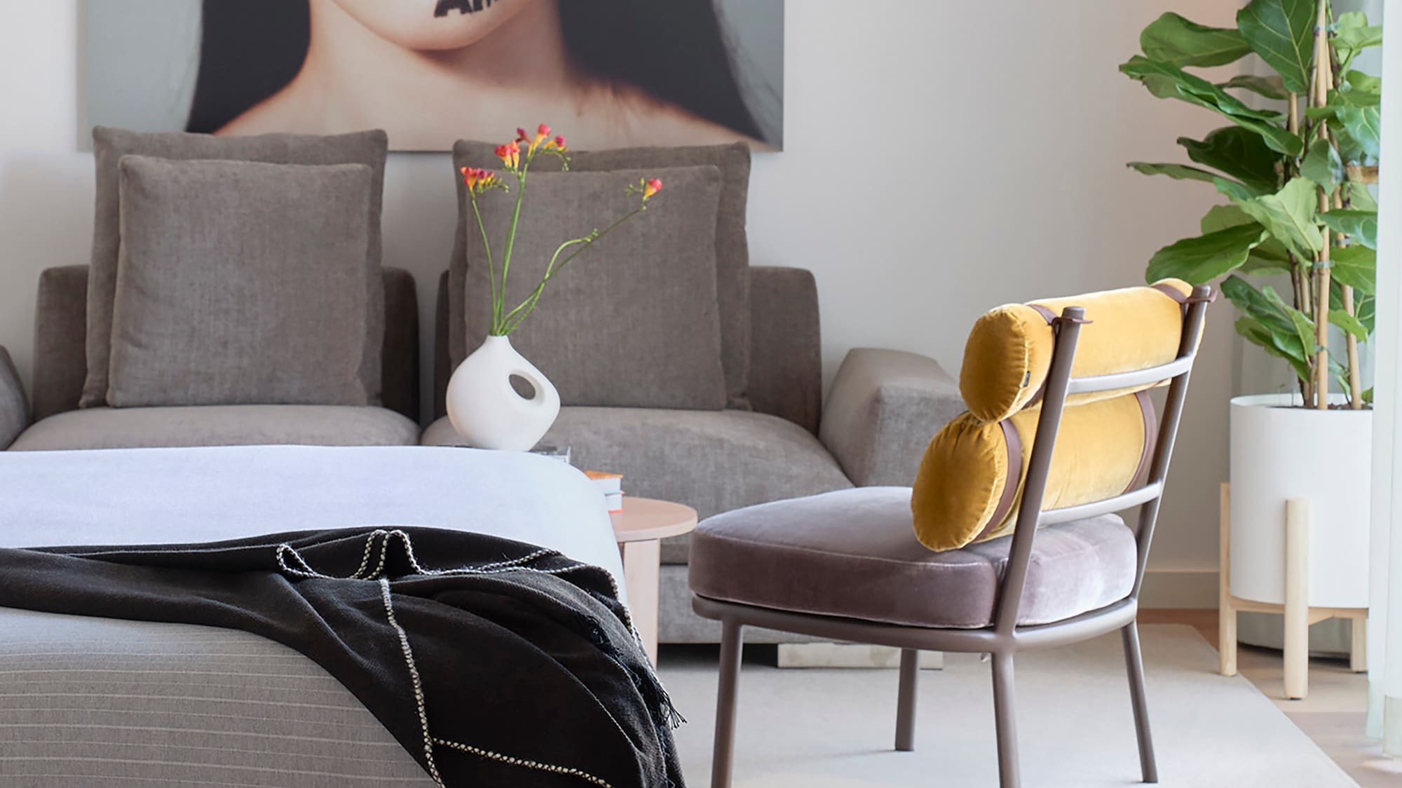 a room with a couch and a plant