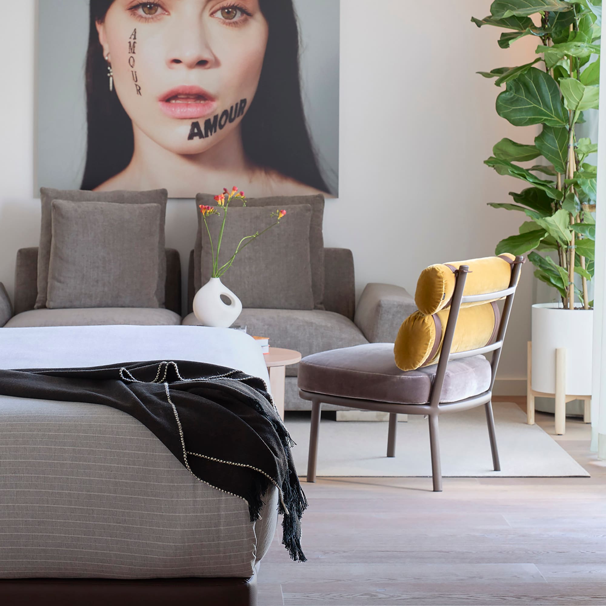 a room with a couch and a plant