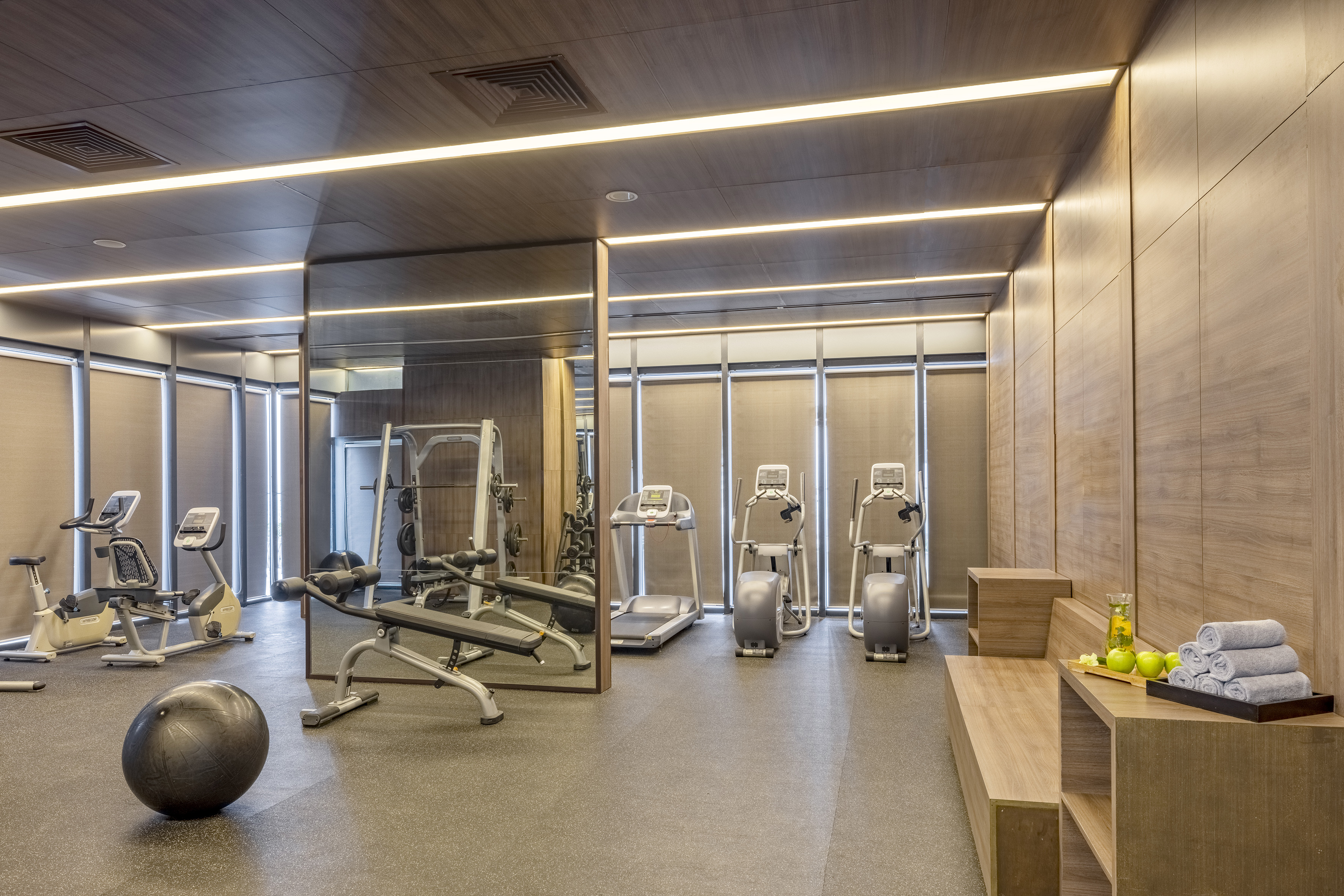 Modern gym interior with treadmill, ellipticals, weights, and wood paneling. - Gimnasio - Meliá Vinpearl Thanh Hoa, Thanh Hoa
