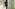 Family in modern home: man walks in hallway, woman and baby by indoor garden.