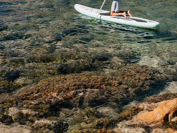 a man on a paddle board in the water