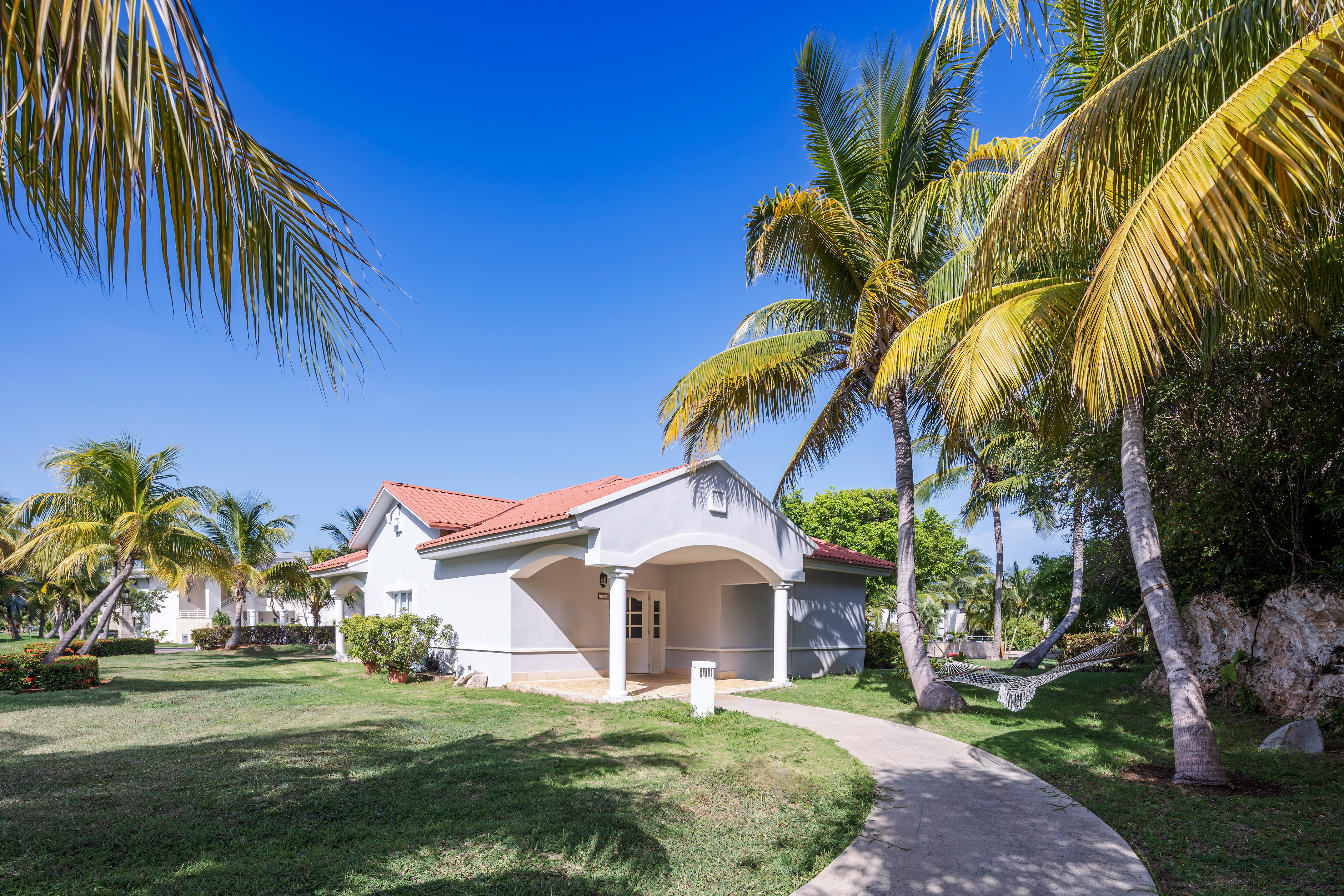 a white house with palm trees
