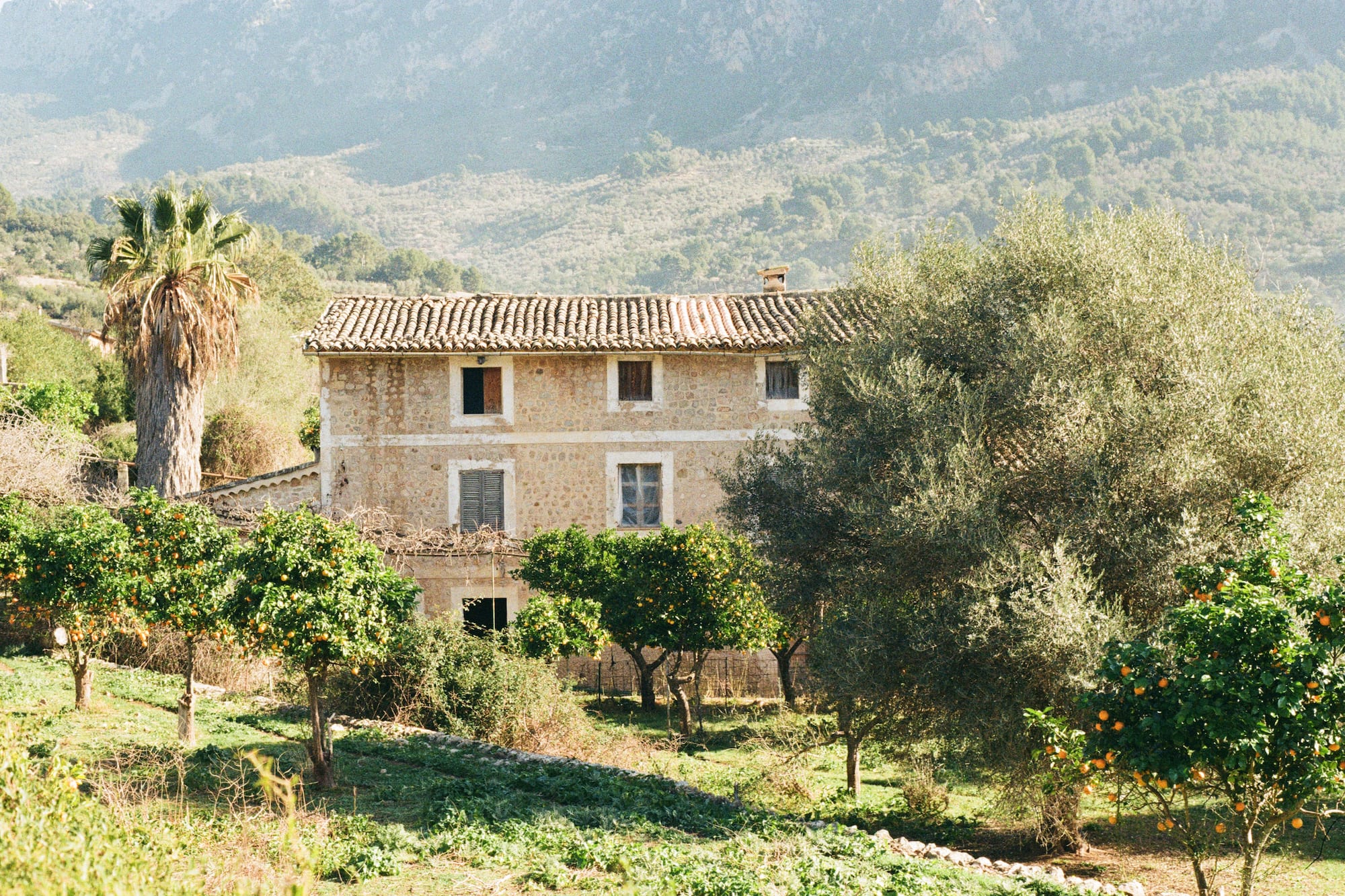 a house with trees in the background