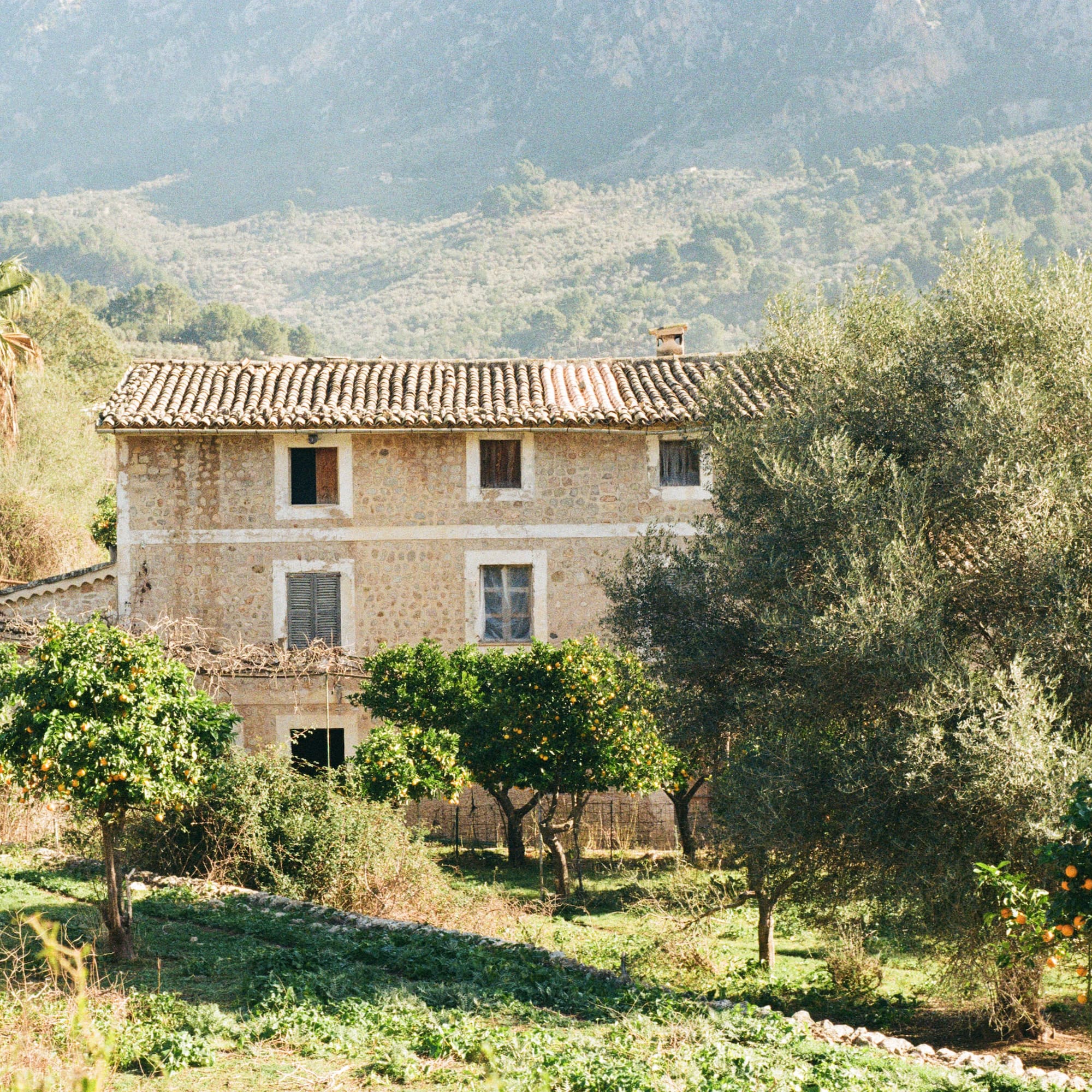 a house with trees in the background