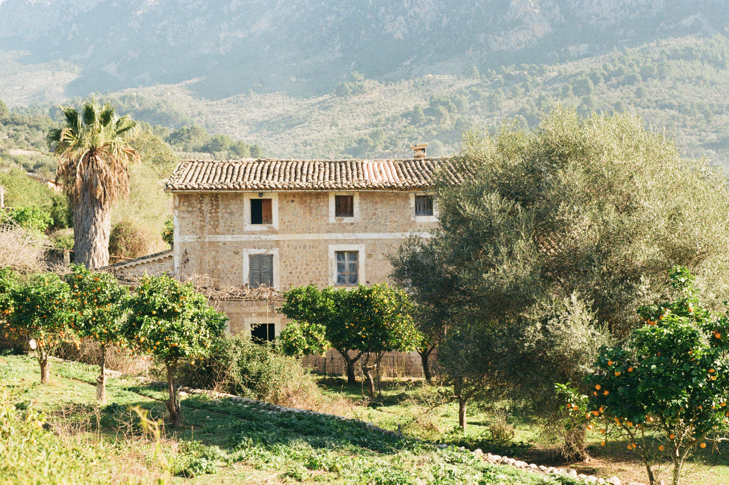a house with trees in the background