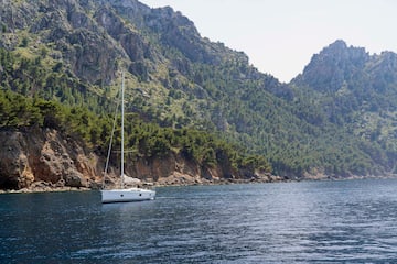 a sailboat in the water