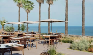 a tables and chairs outside with a beach and palm trees