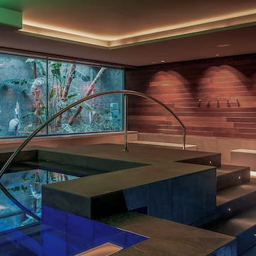 a pool with a staircase and a glass wall