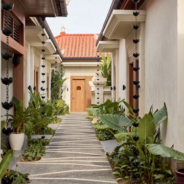 a walkway between two buildings with plants