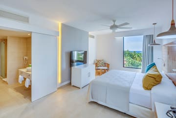 a bedroom with a bed and a television