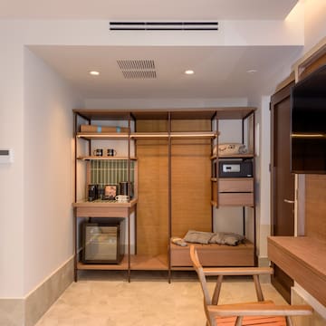 a room with a closet and a television
