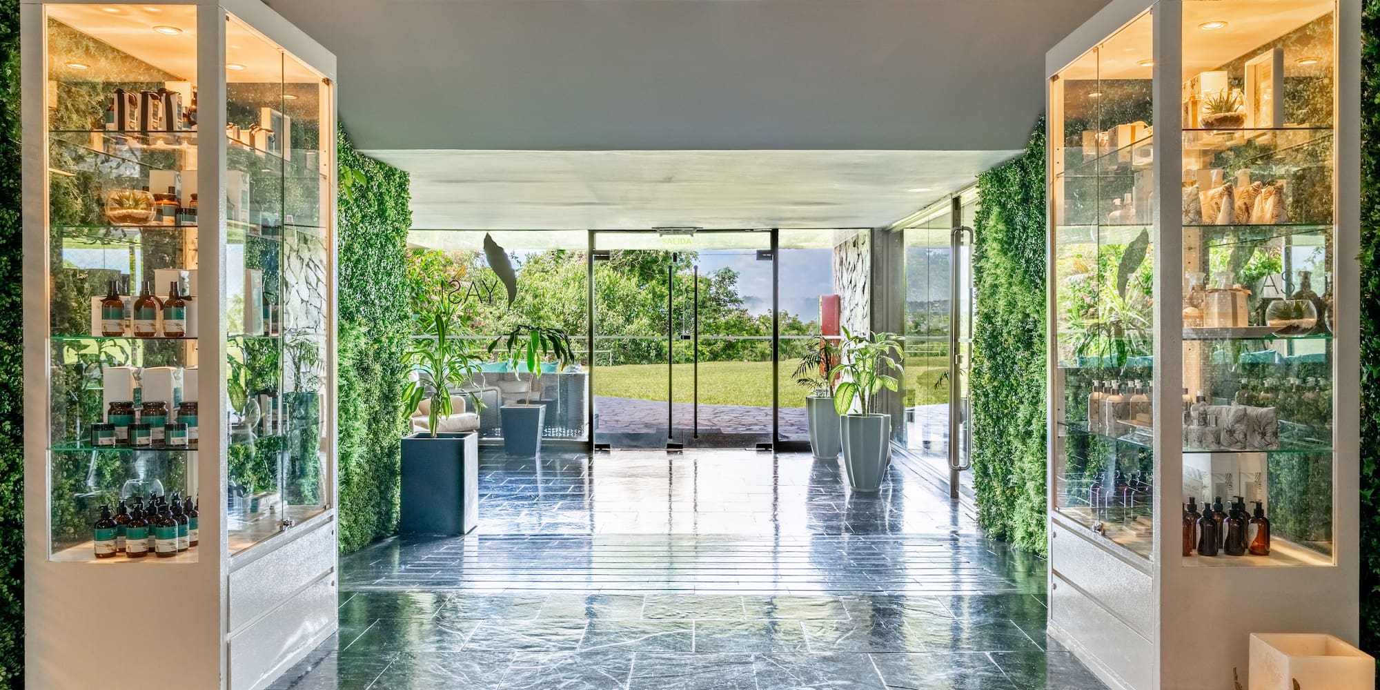 a glass doors with plants in it