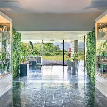 a glass doors with plants in it