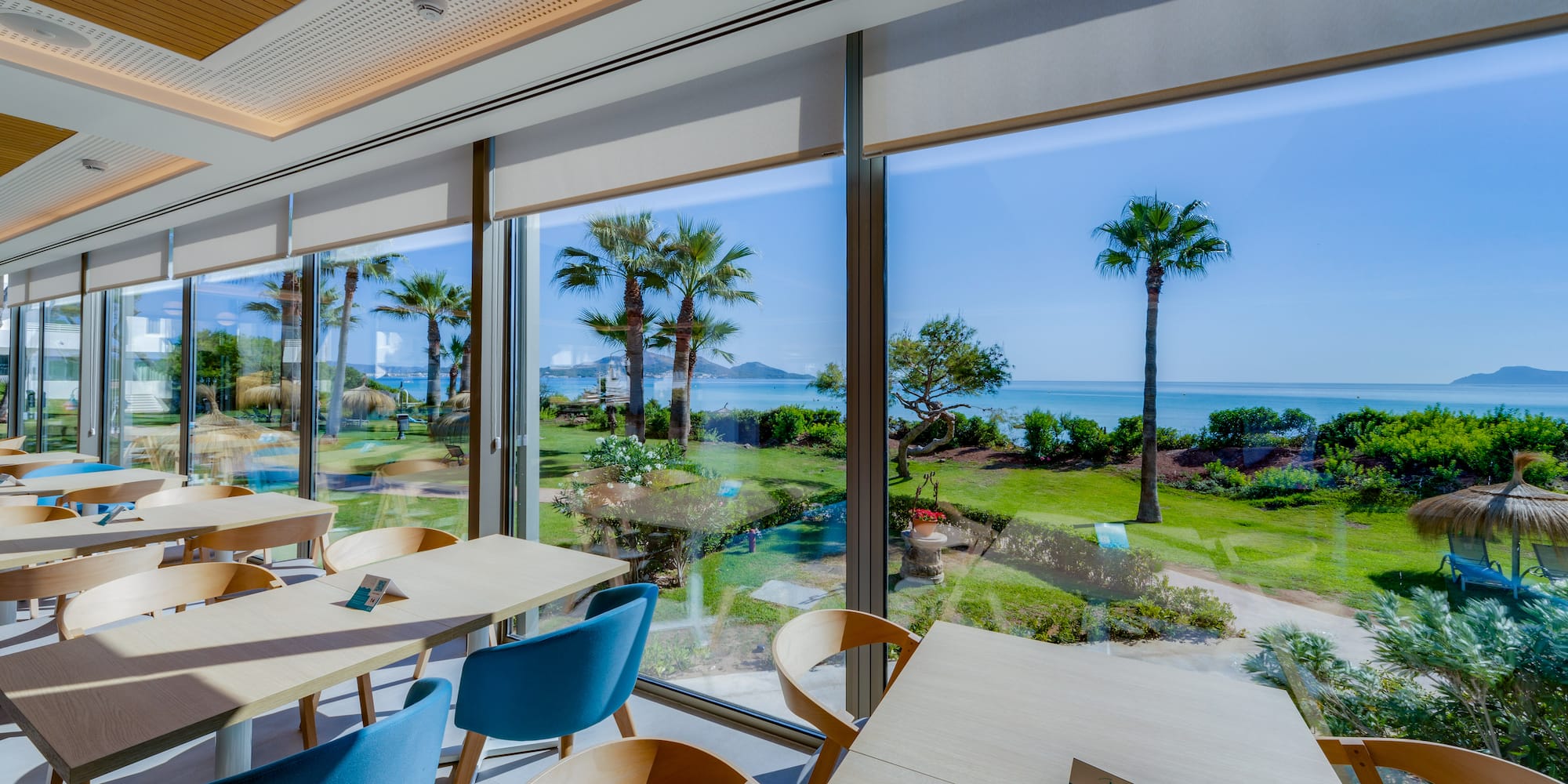 a room with a view of the ocean and palm trees
