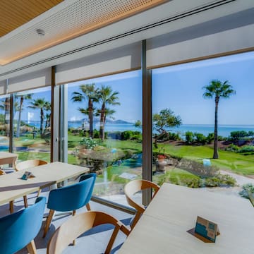 a room with a view of the ocean and palm trees