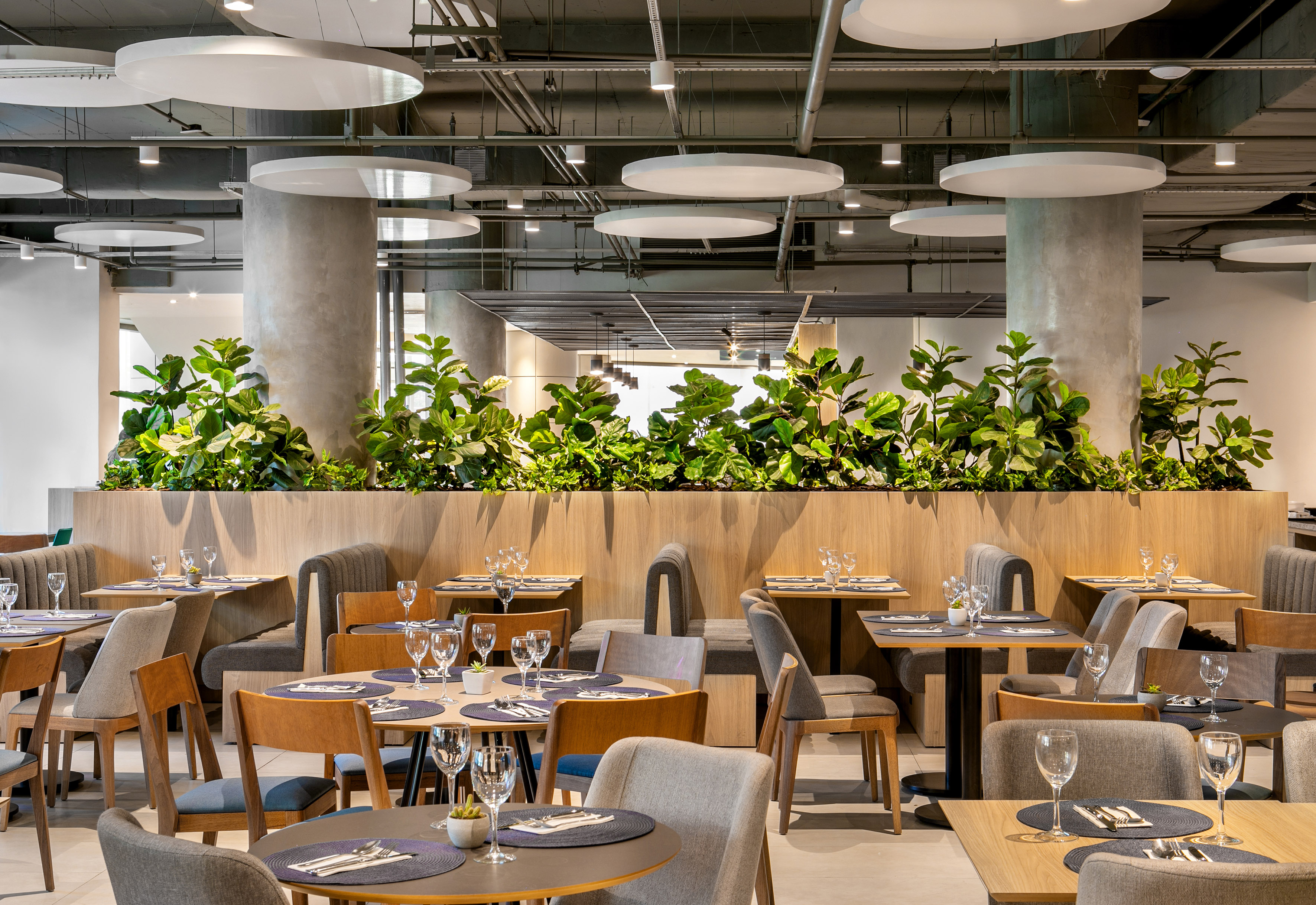 Modern restaurant dining with green plants, set tables, and exposed ceiling.