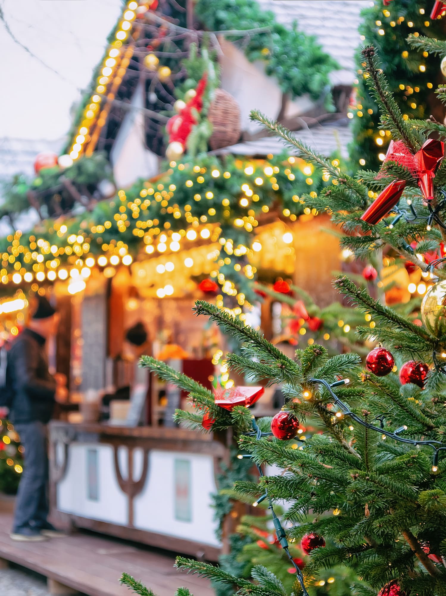 a christmas tree with lights and ornaments
