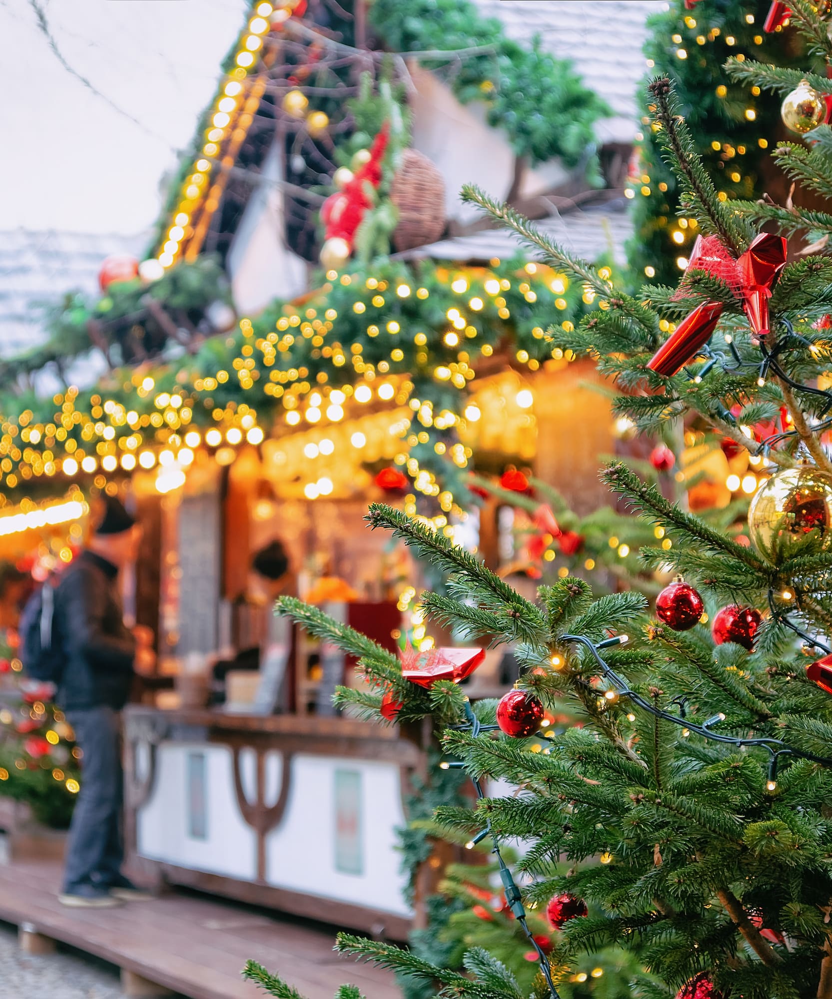 a christmas tree with lights and ornaments